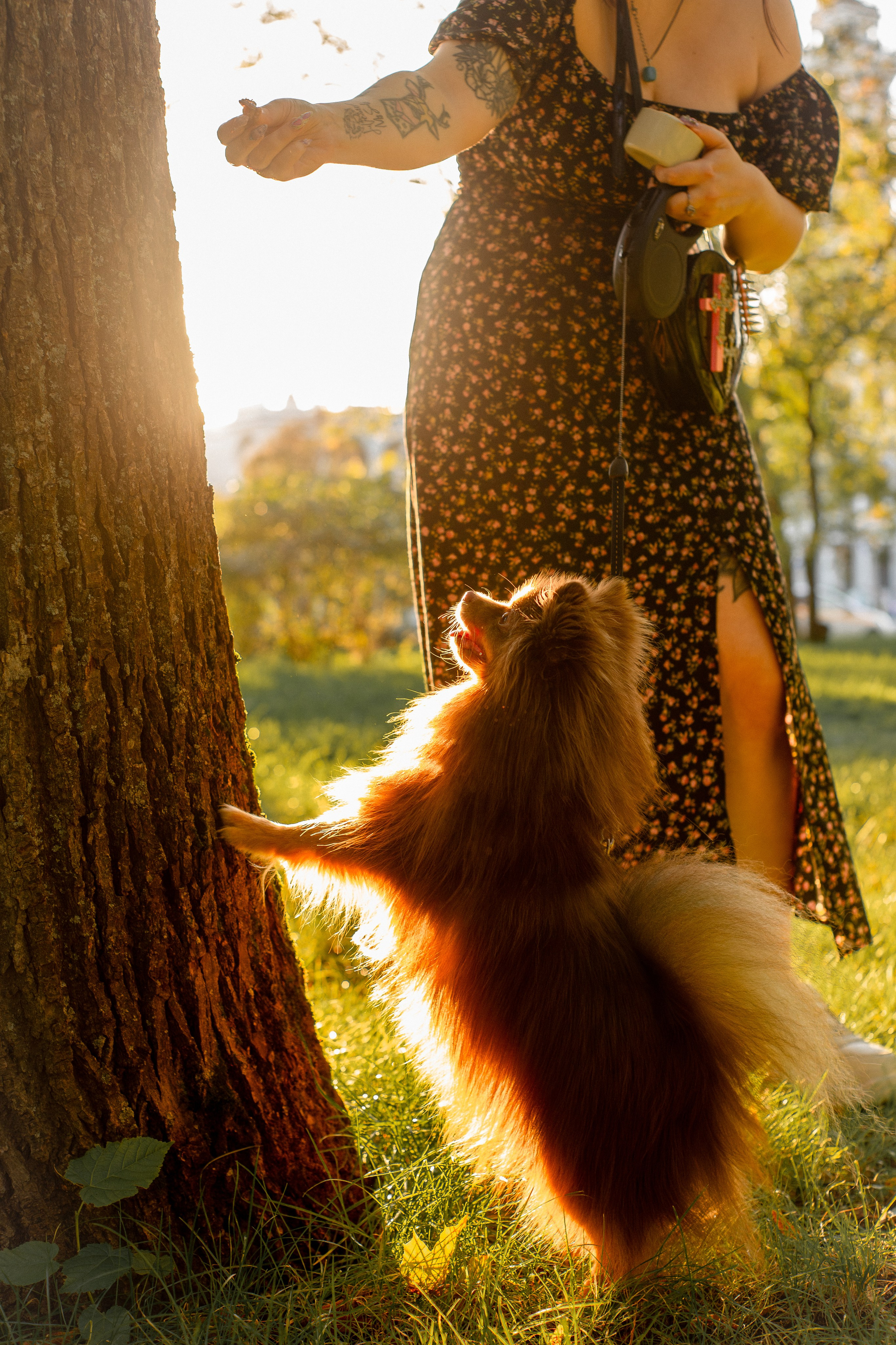 Настя и Жульен. Фотограф-анималист Мария Баркевич | Москва