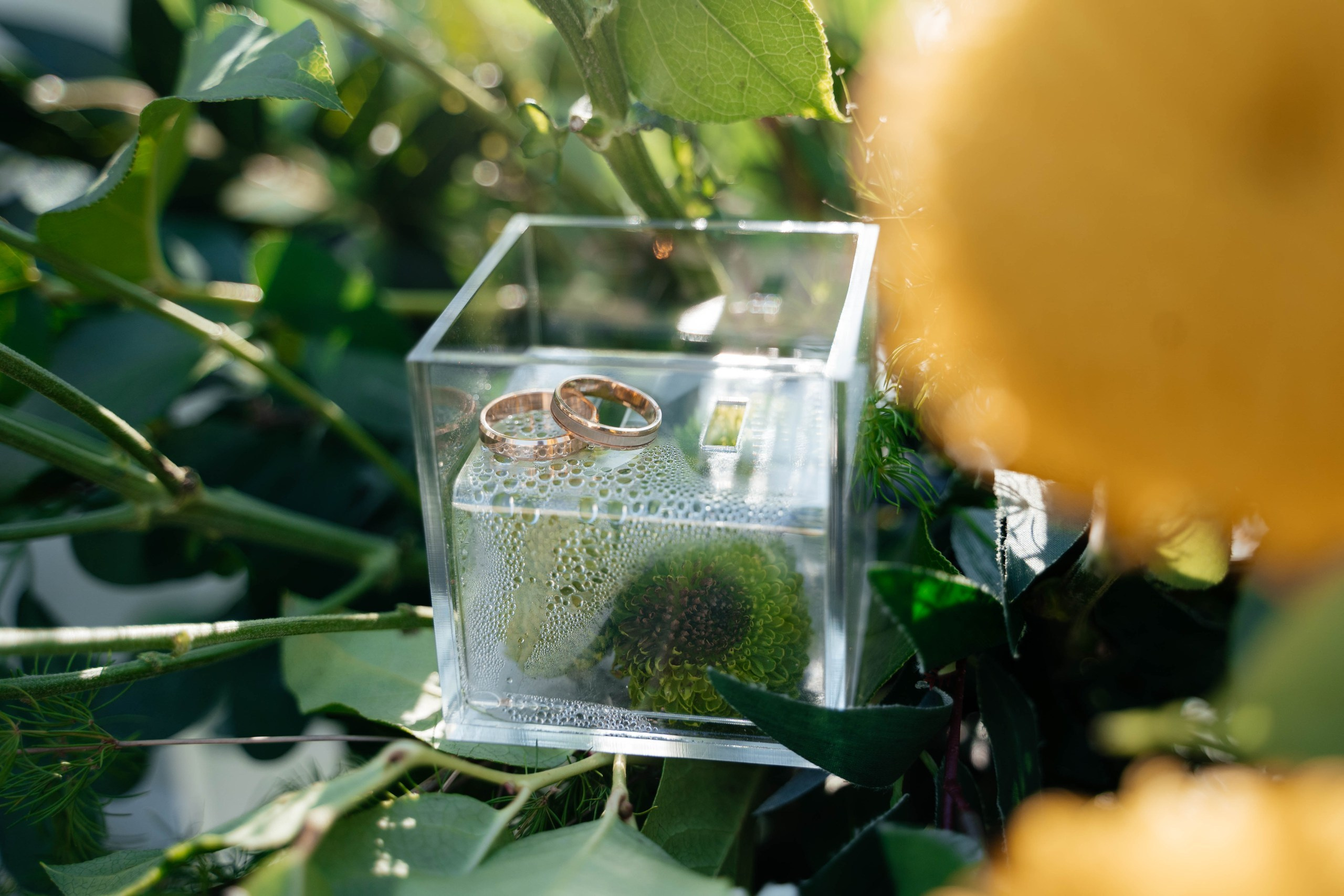 Джамиль и Сания. Свадебный фотограф Казань Анастасия Доле