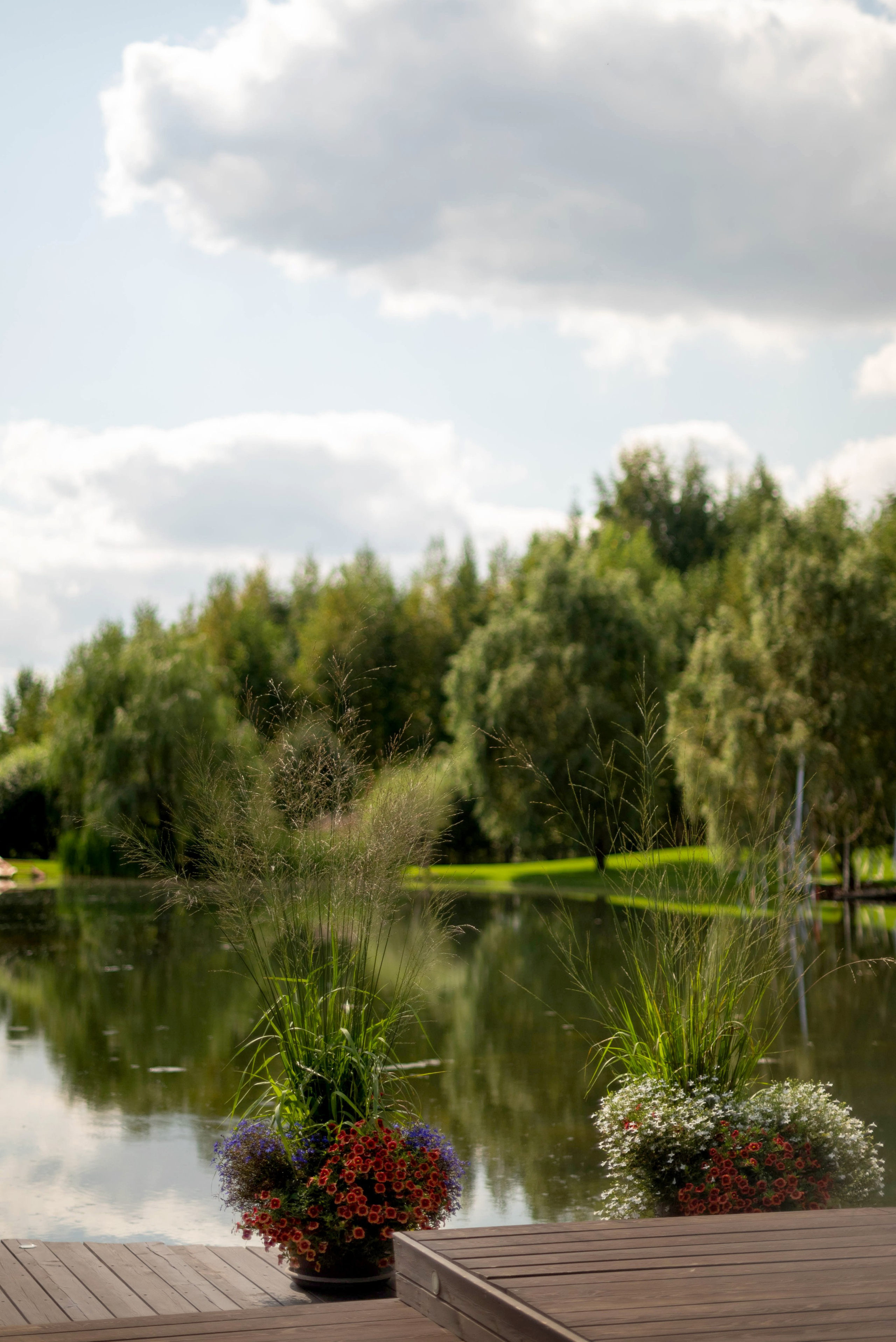 В стиле свободы. Свадебный и семейный фотограф в Новосибирске, Санкт-Петербурге, Москве