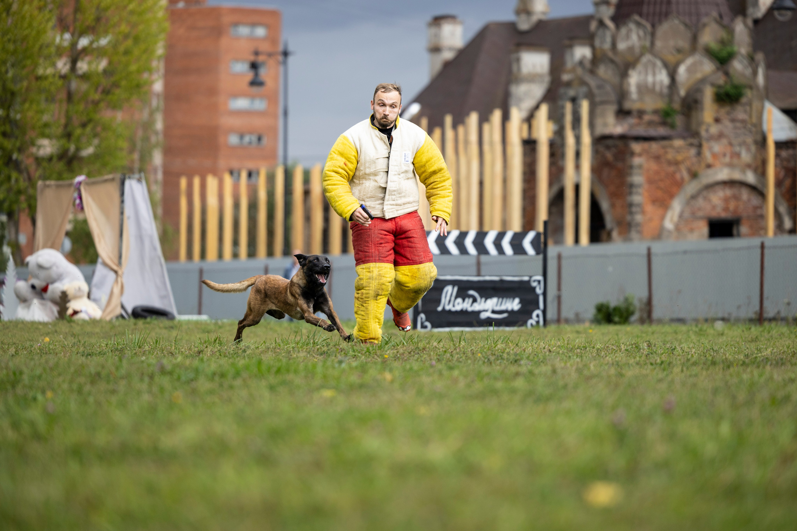 Испытания по Мондьорингу г. Пушкин. Фотограф-анималист Анна Маринич