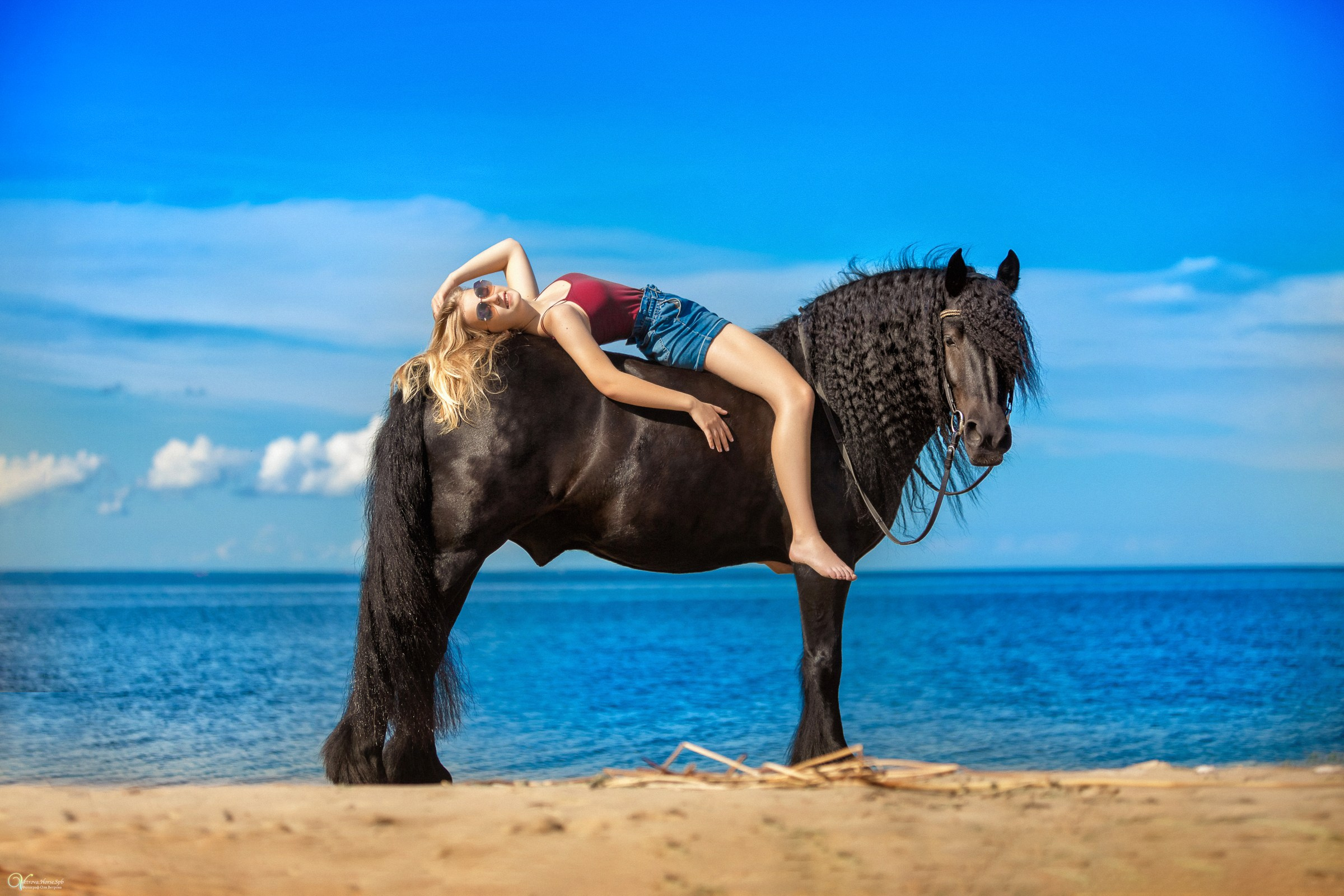 Фотосессии с лошадьми летом. Фотограф женский и мужской портрет Санкт-Петербург
