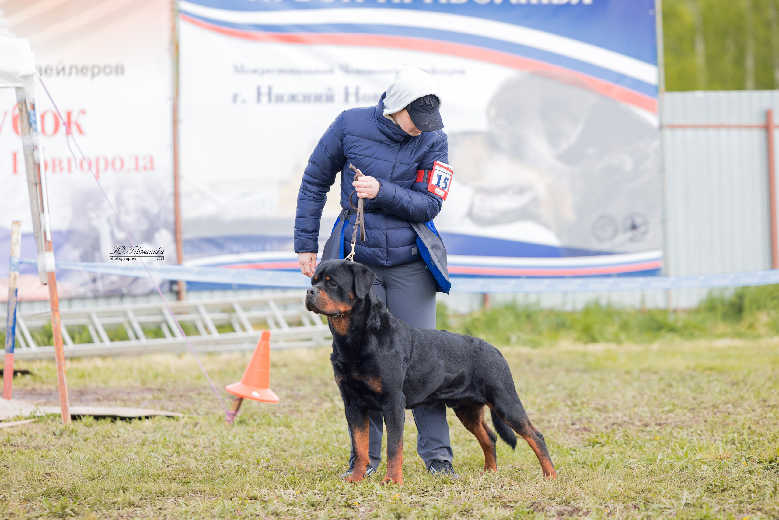 Нижний Новгород 2хмоно ротвейлеров 10-11.05.2025. Фотограф-анималист Юлия Германика