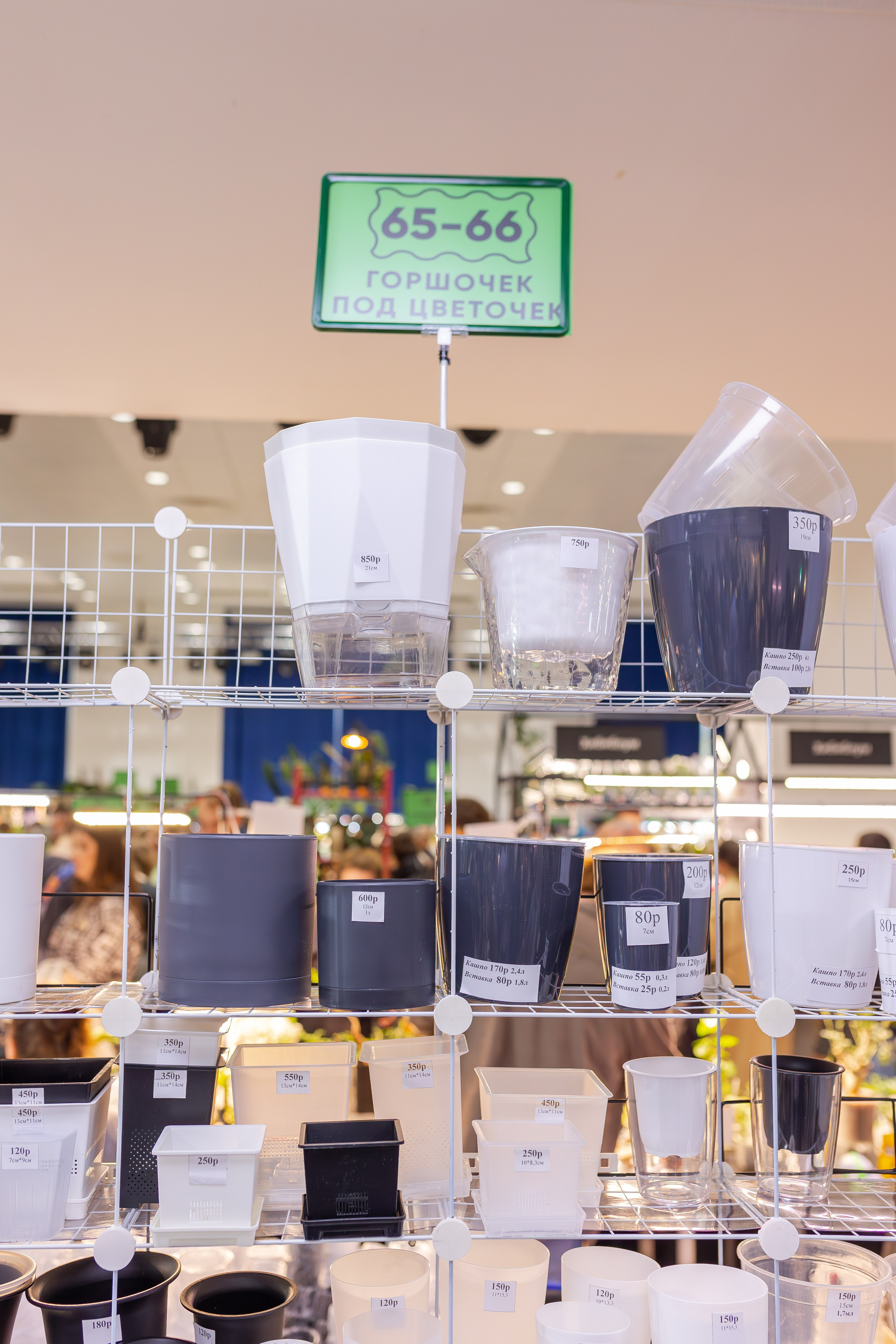 Монстериум апрель 2026. Александра Куликова фотограф, Москва