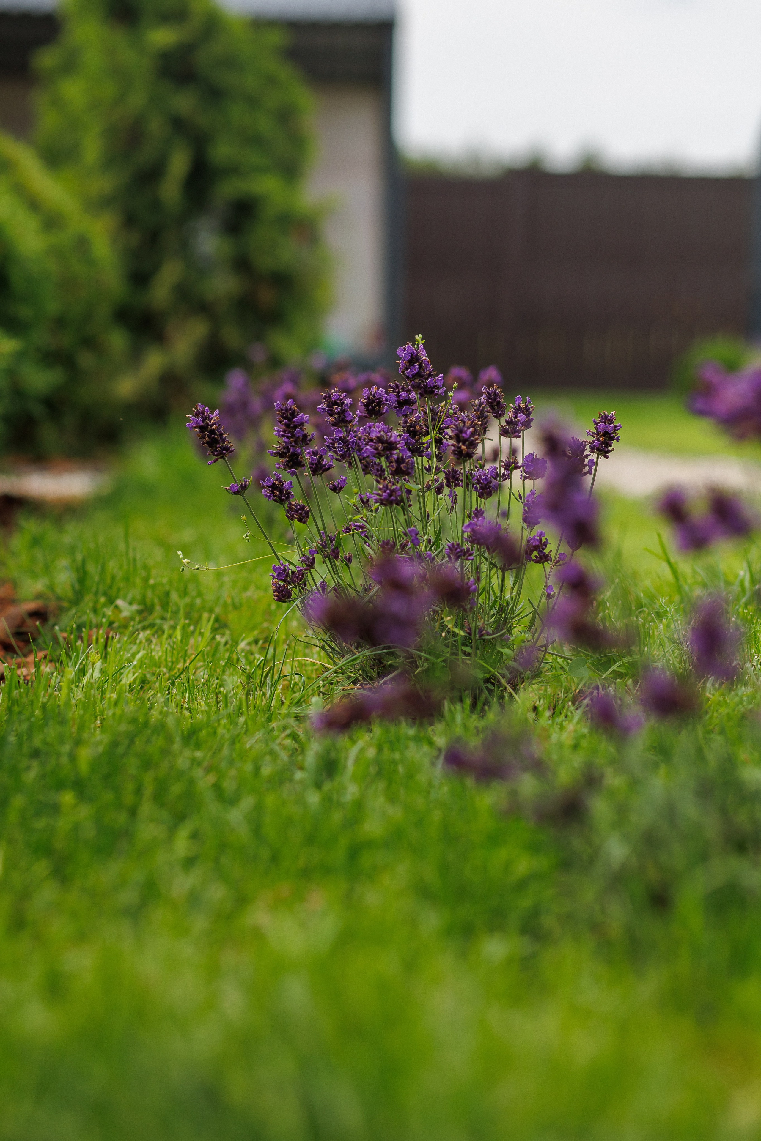 ТЕРРИТОРИЯ. Дом в аренду посуточно в Подмосковье
