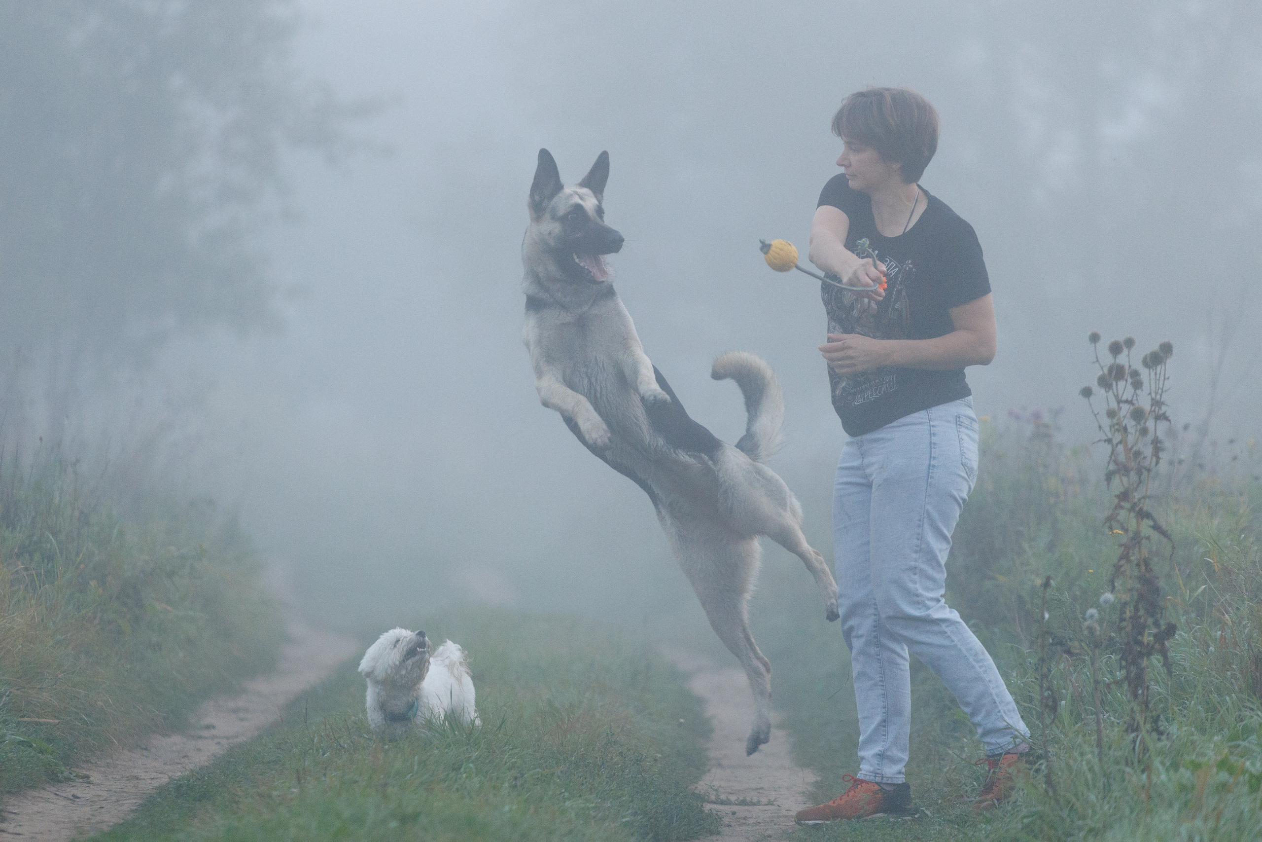Настя, Мейз и Дин. Фотограф-анималист в Калуге Мария Шерскова