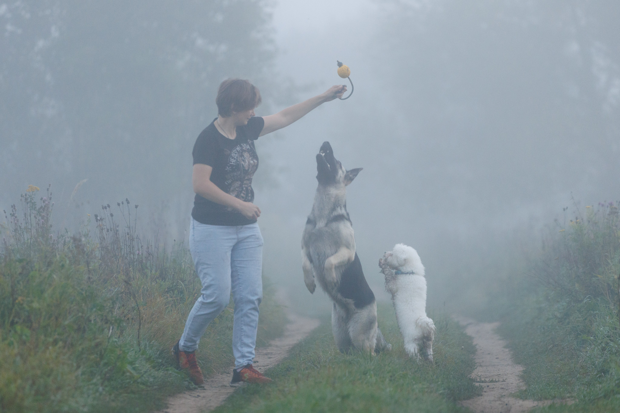 Настя, Мейз и Дин. Фотограф-анималист в Калуге Мария Шерскова