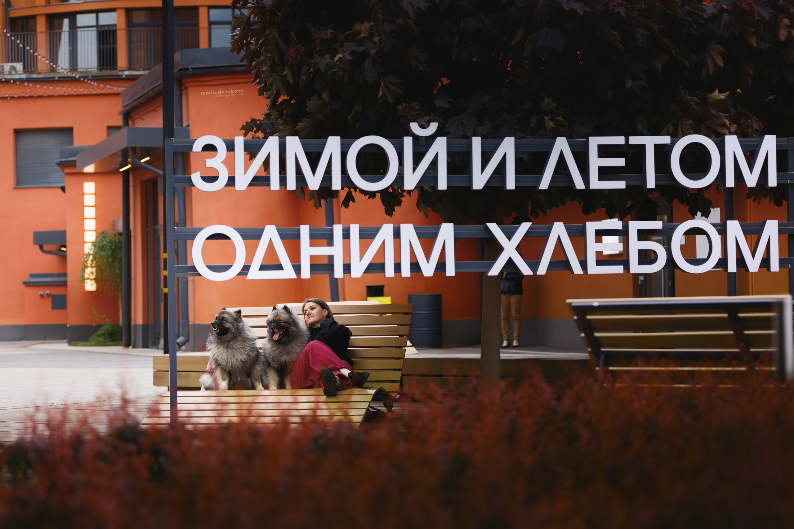 Вика, Вино и Женя. Фотограф-анималист в Калуге Мария Шерскова