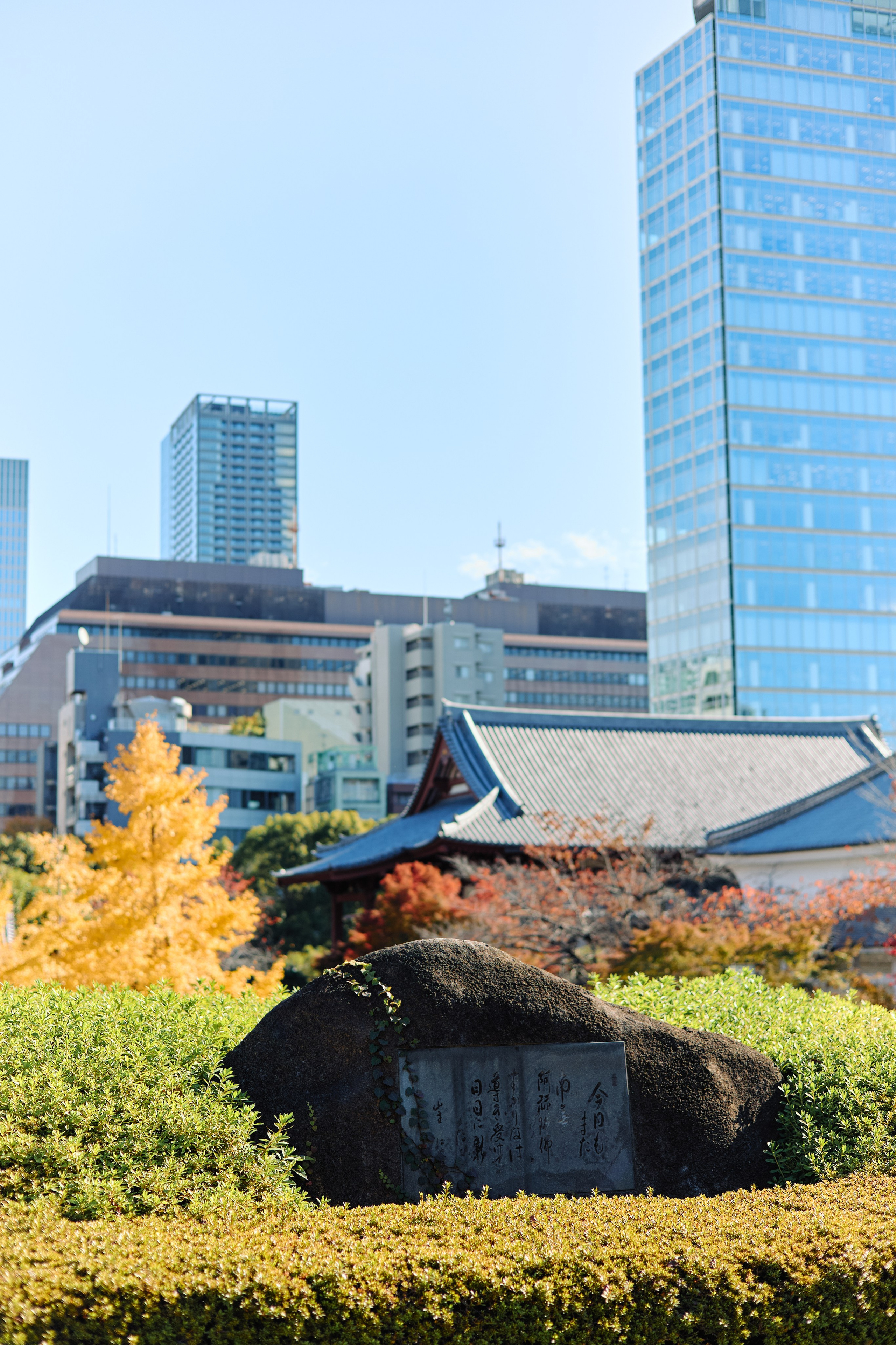 Япония. Профессиональный Фотограф во Владимире, в Москве и в Суздале — Полина Романычева