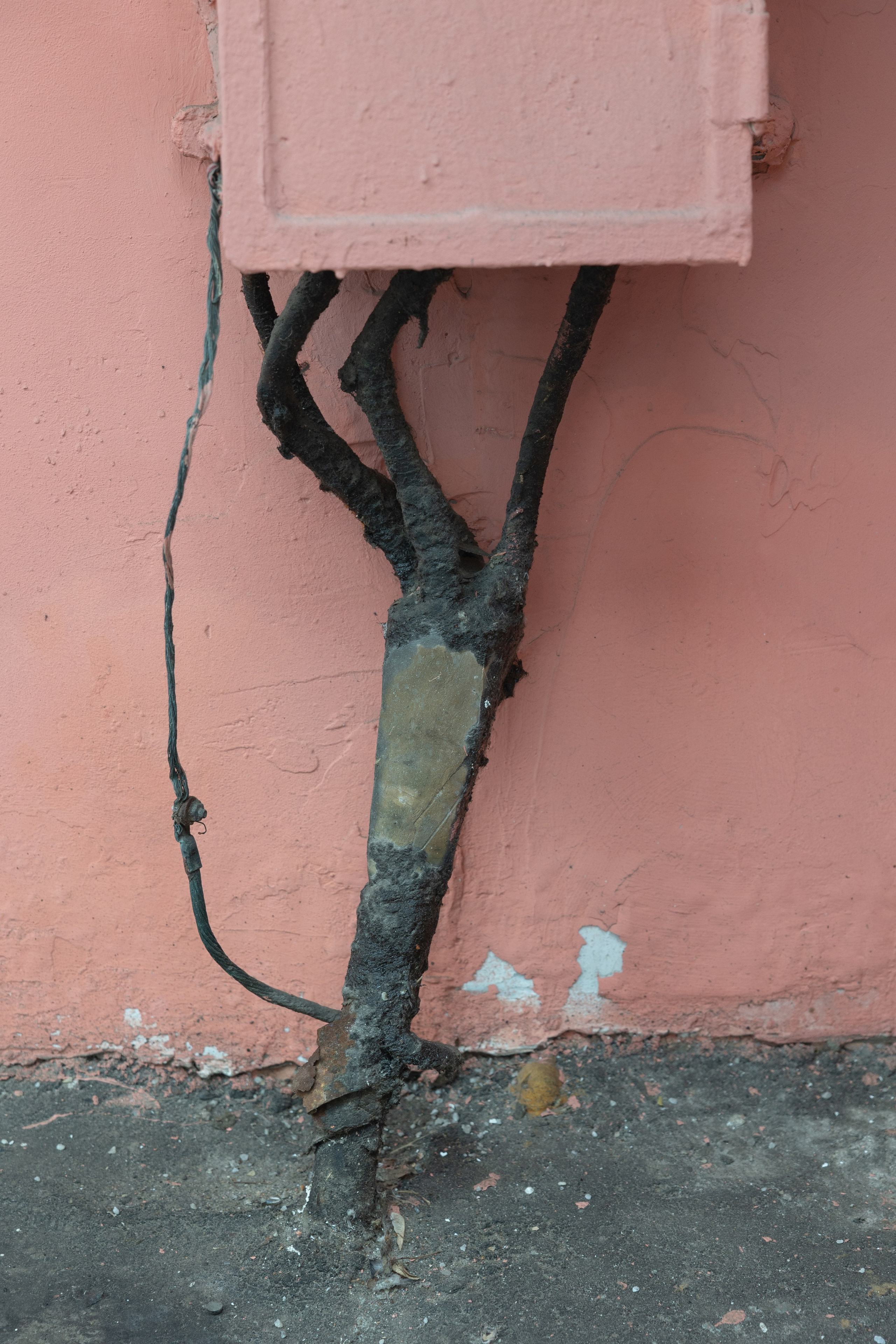 Пейзаж в интерьере | Interior landscape. Фотограф алина стерхова, алина стерхова фотограф, фотограф москва