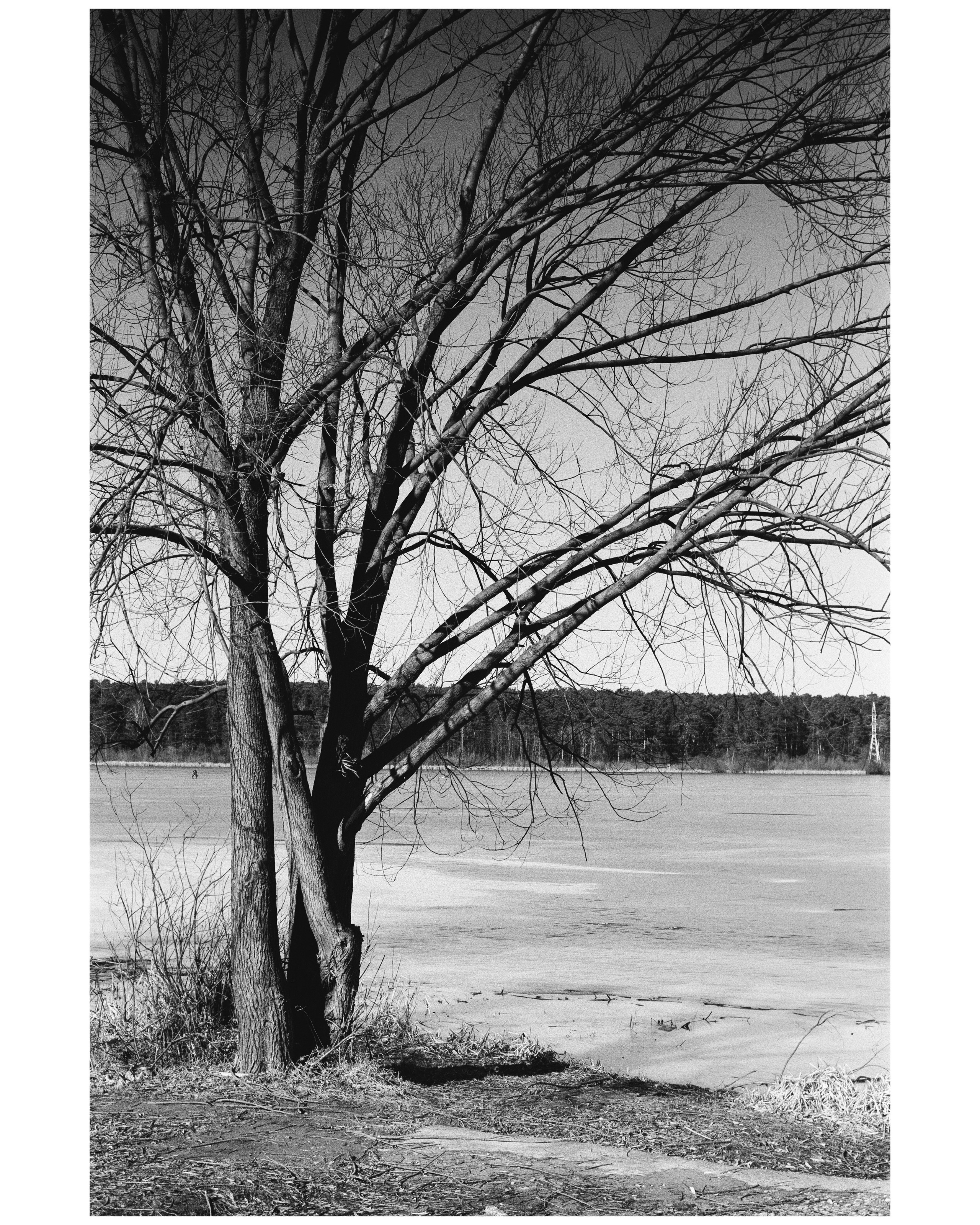 KALUGA. ANNA — PHOTOGRAPHER