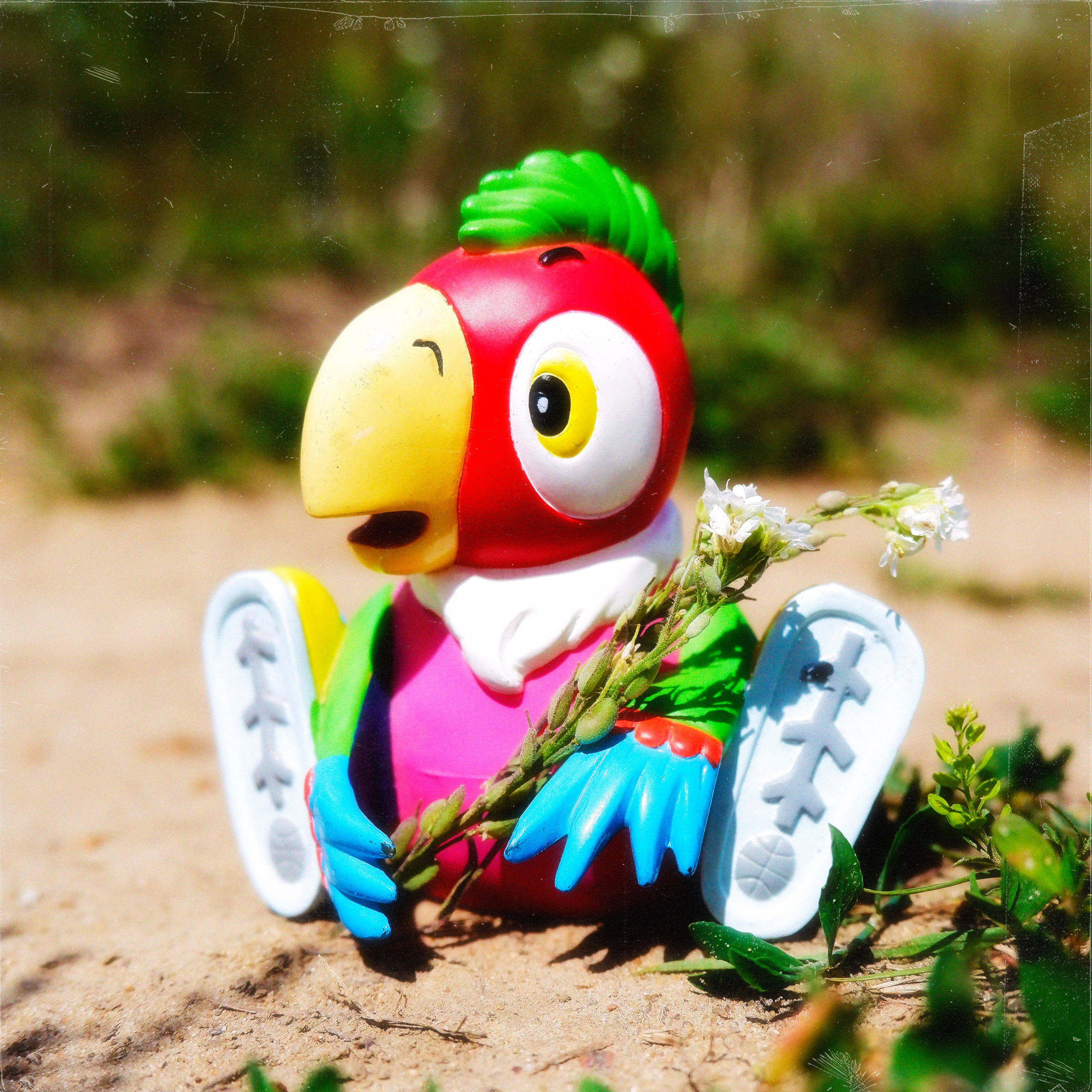 TOYS. ANNA — PHOTOGRAPHER