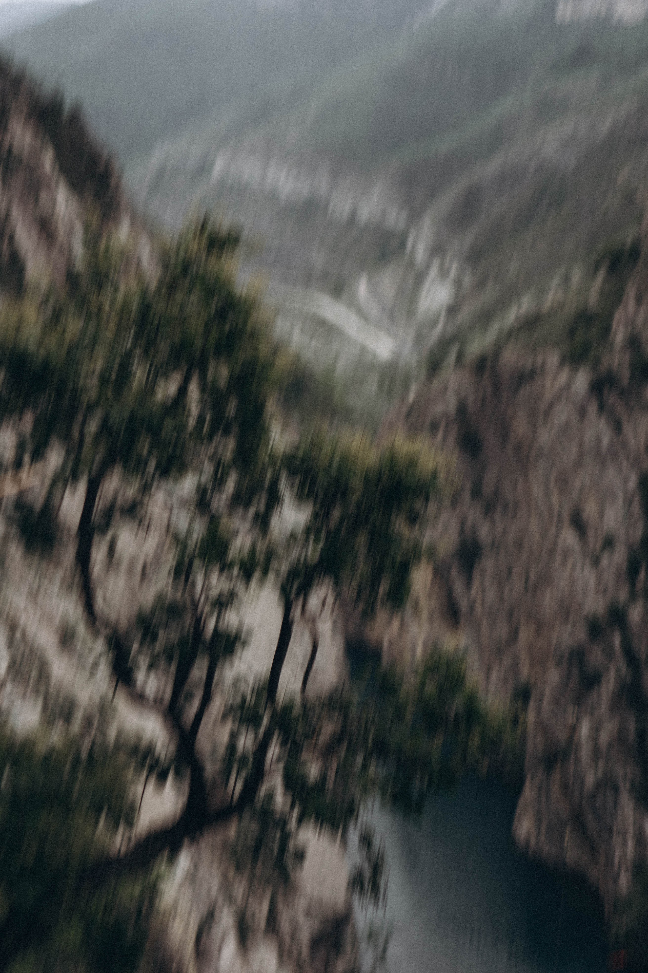 Кавказ. Профессиональный фотограф, Санкт-Петербург — Виктория Богомолова