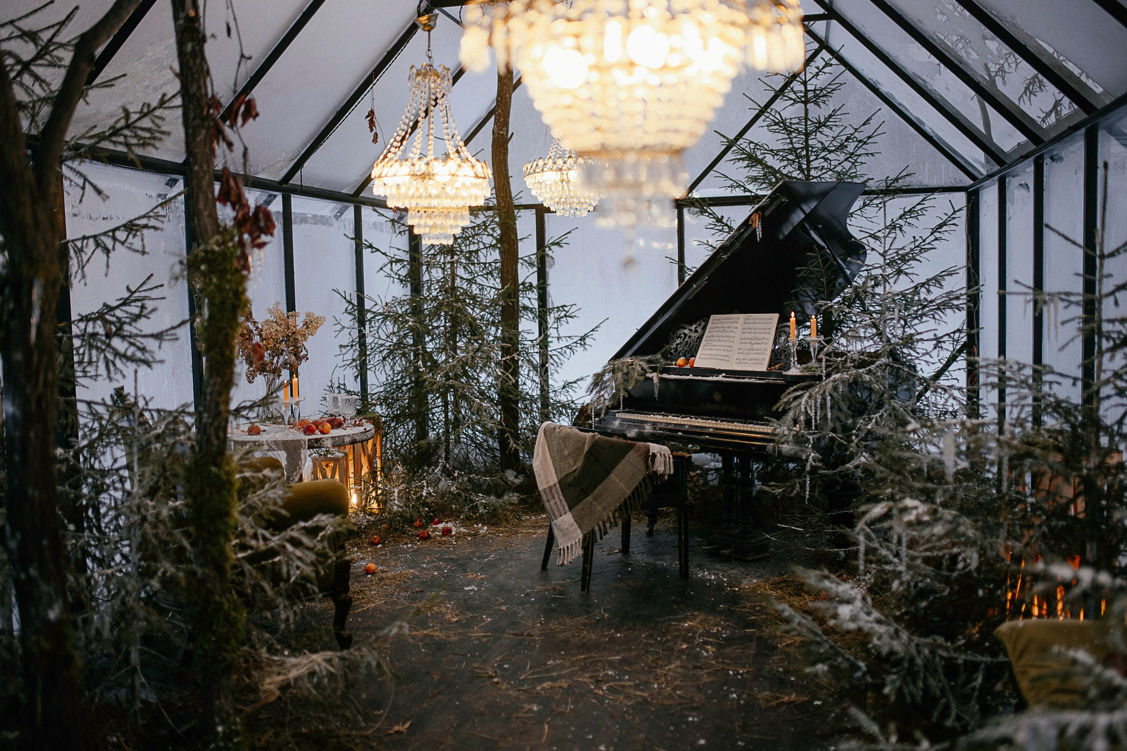 Теплица. Фотостудия «Зачарованный Сад» в 20 минутах от центра Екатеринбурга