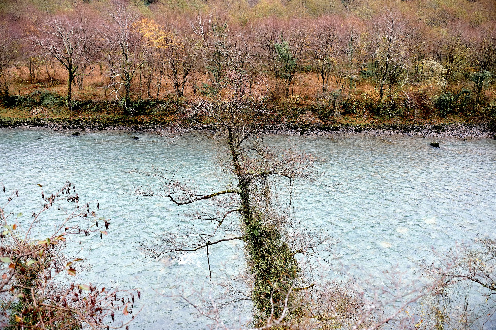 Озеро Рица, Абхазия. Декабрь 2024. Фотографии отовсюду и обо всем