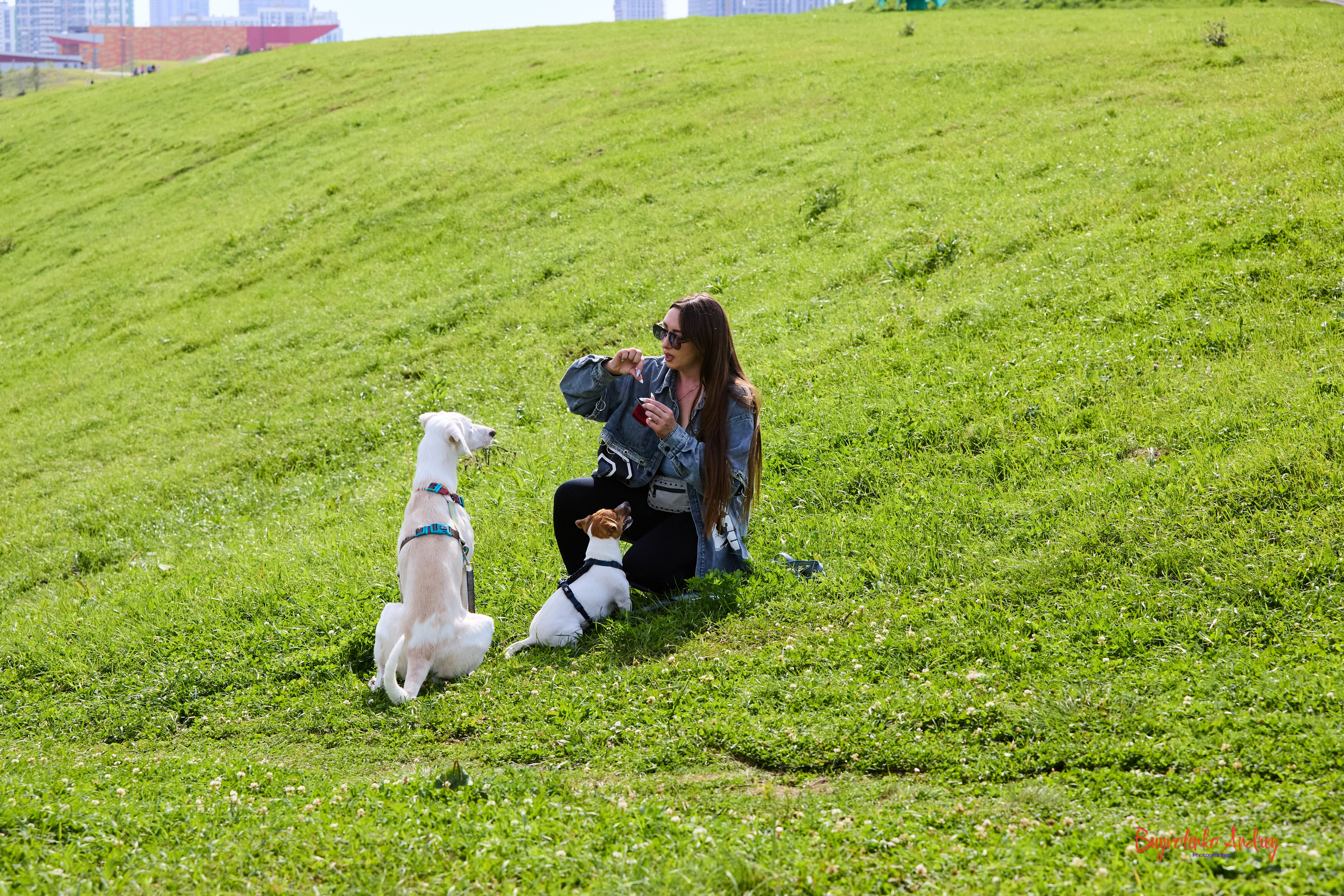 Проект фотопрогулка с хвостиком. Buyvolenko Andrey