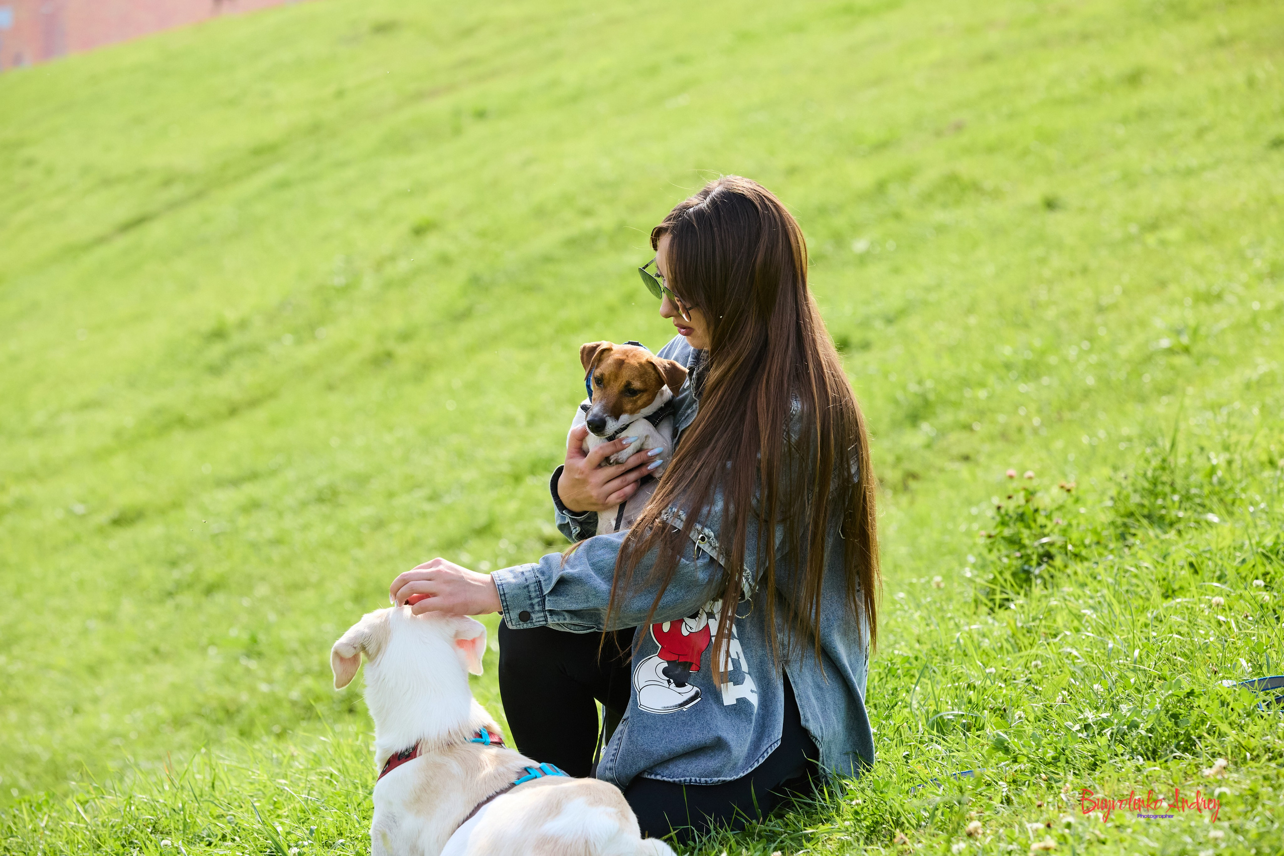 Проект фотопрогулка с хвостиком. Buyvolenko Andrey