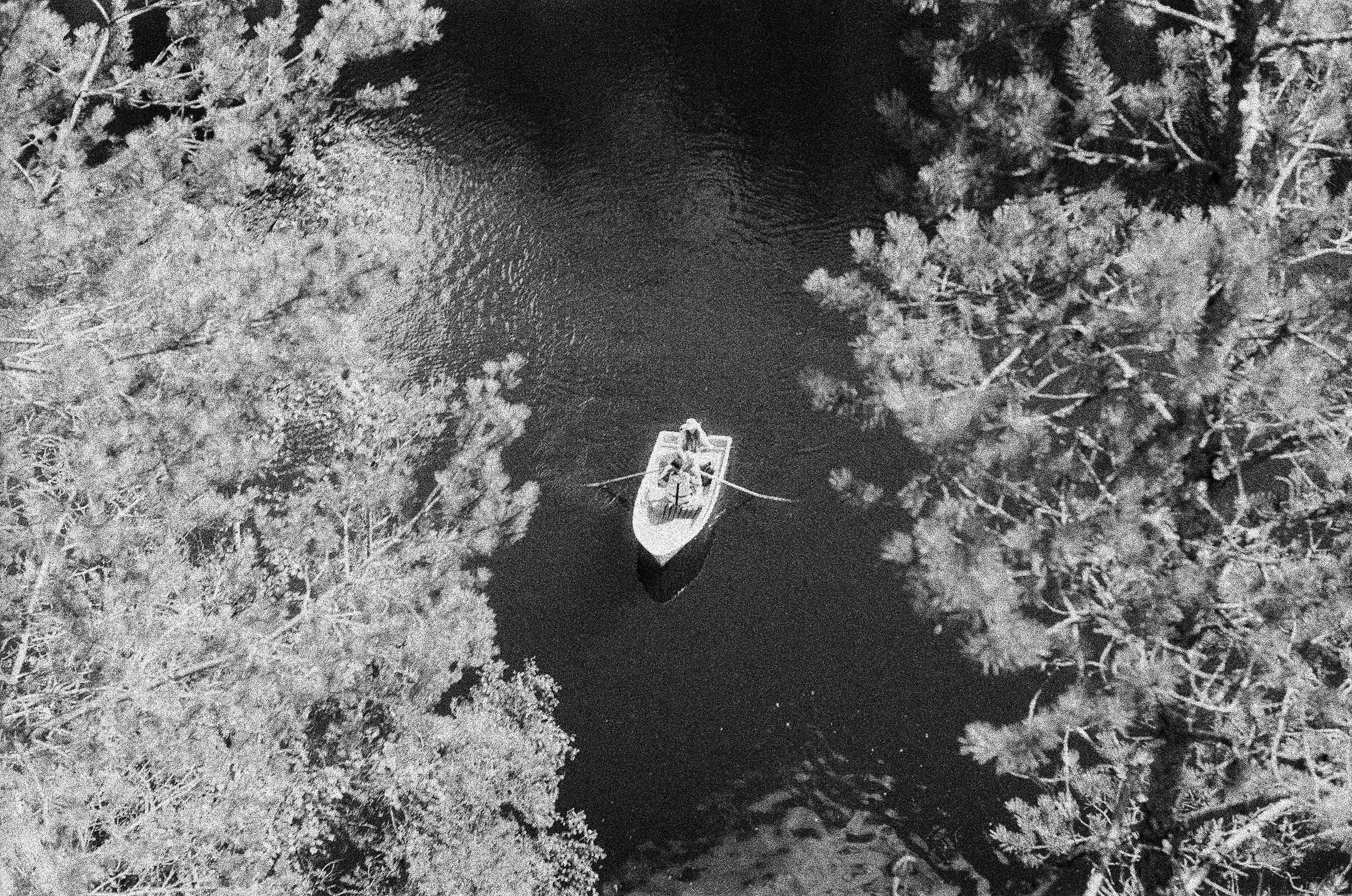 Натура. Фотограф — Маслеников Константин