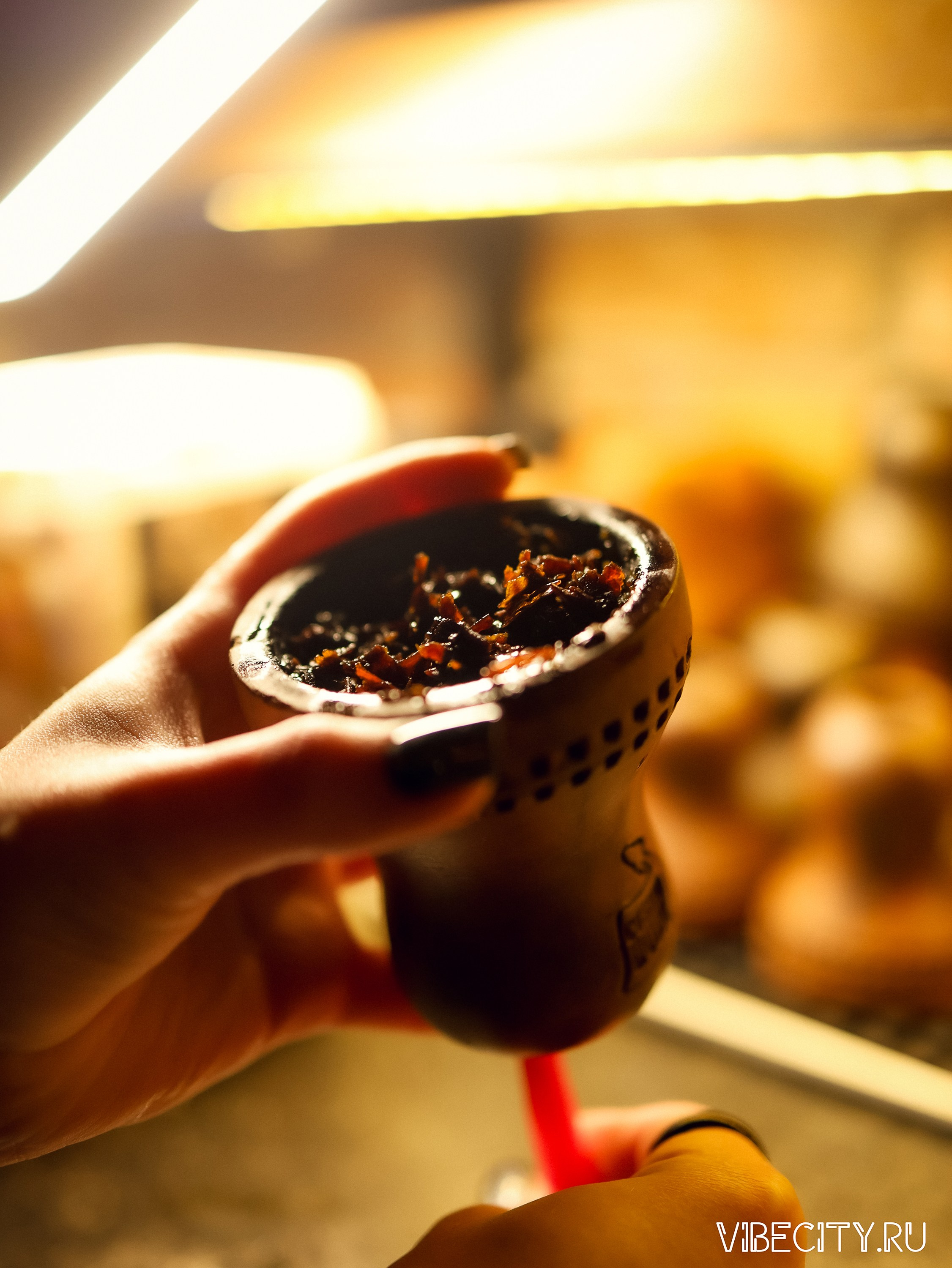 Мята Lounge. VIBECITY.RU Вайб Сити Ру Фоторепортажи Фотоотчеты Калининград