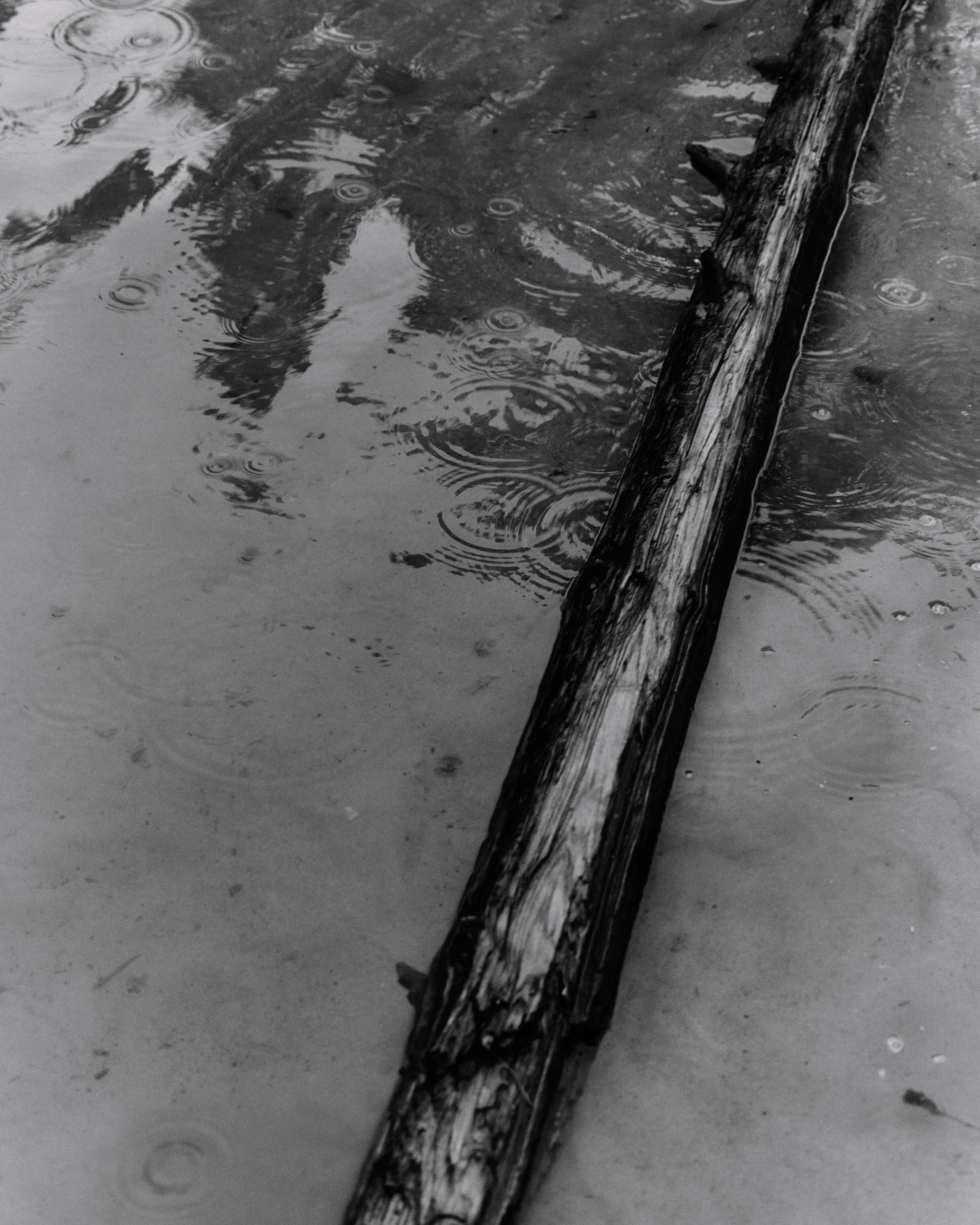 Anna. Z H U R A V L E V