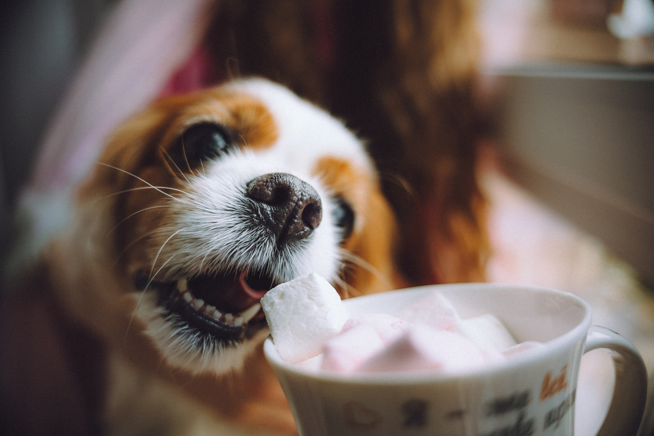 Наташа и Вики