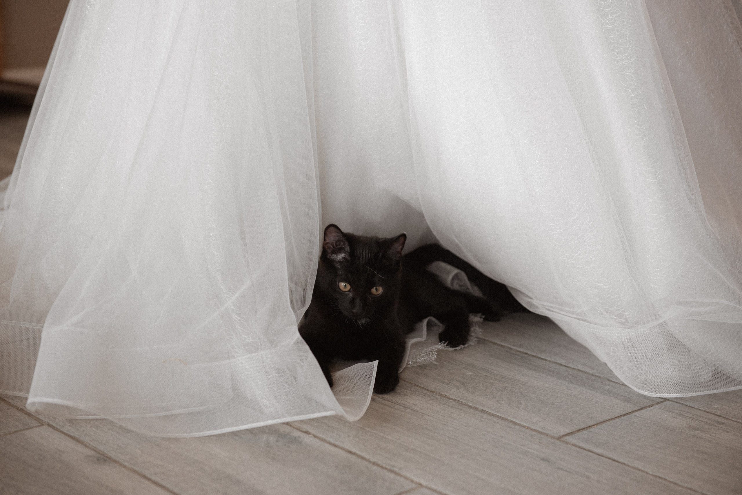 Илья и Ксения. Свадебный фотограф в Новосибирске. Александра Верхушина