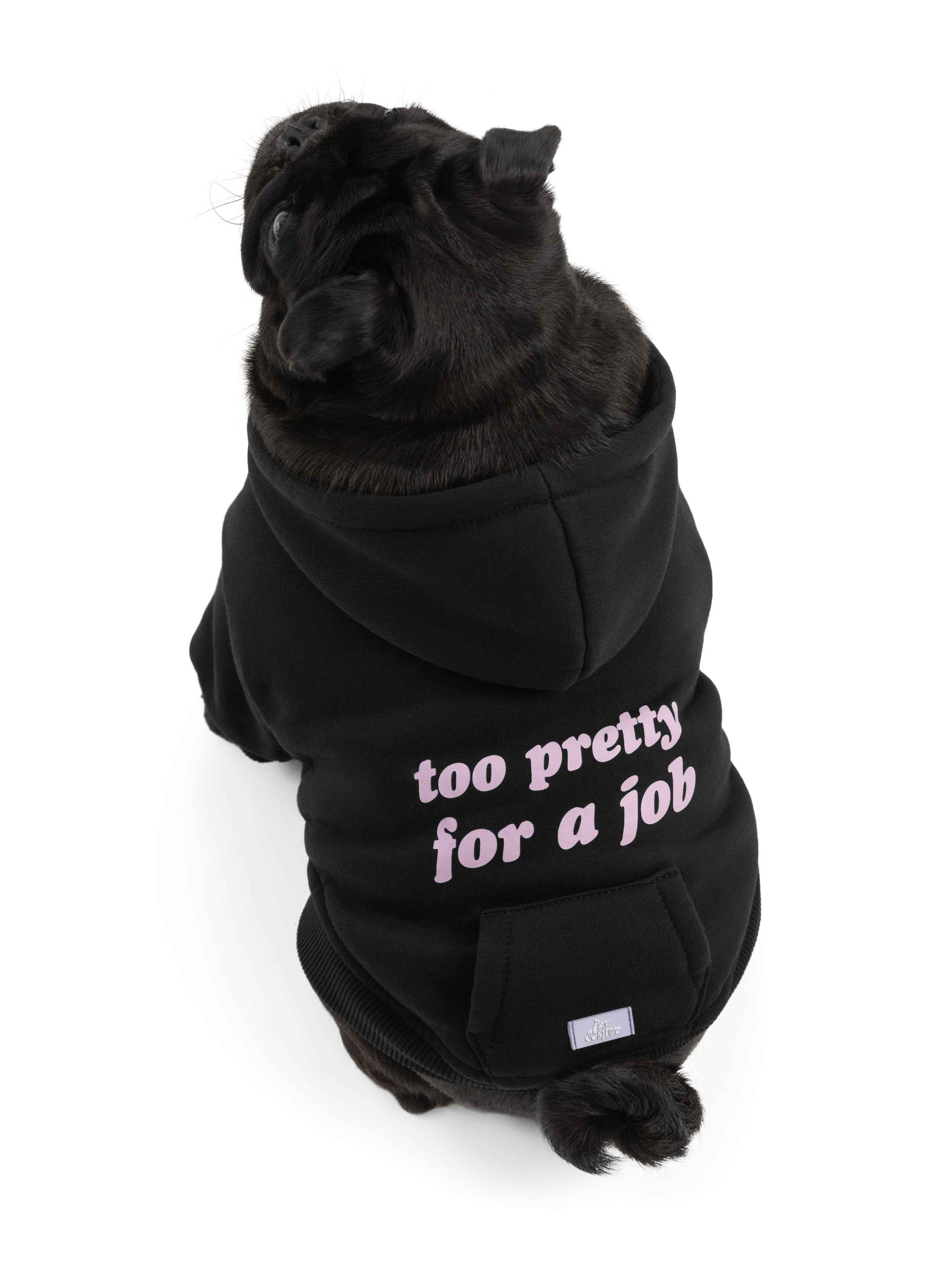 Одежда для собак Pet Subject. Олег Дмитриев