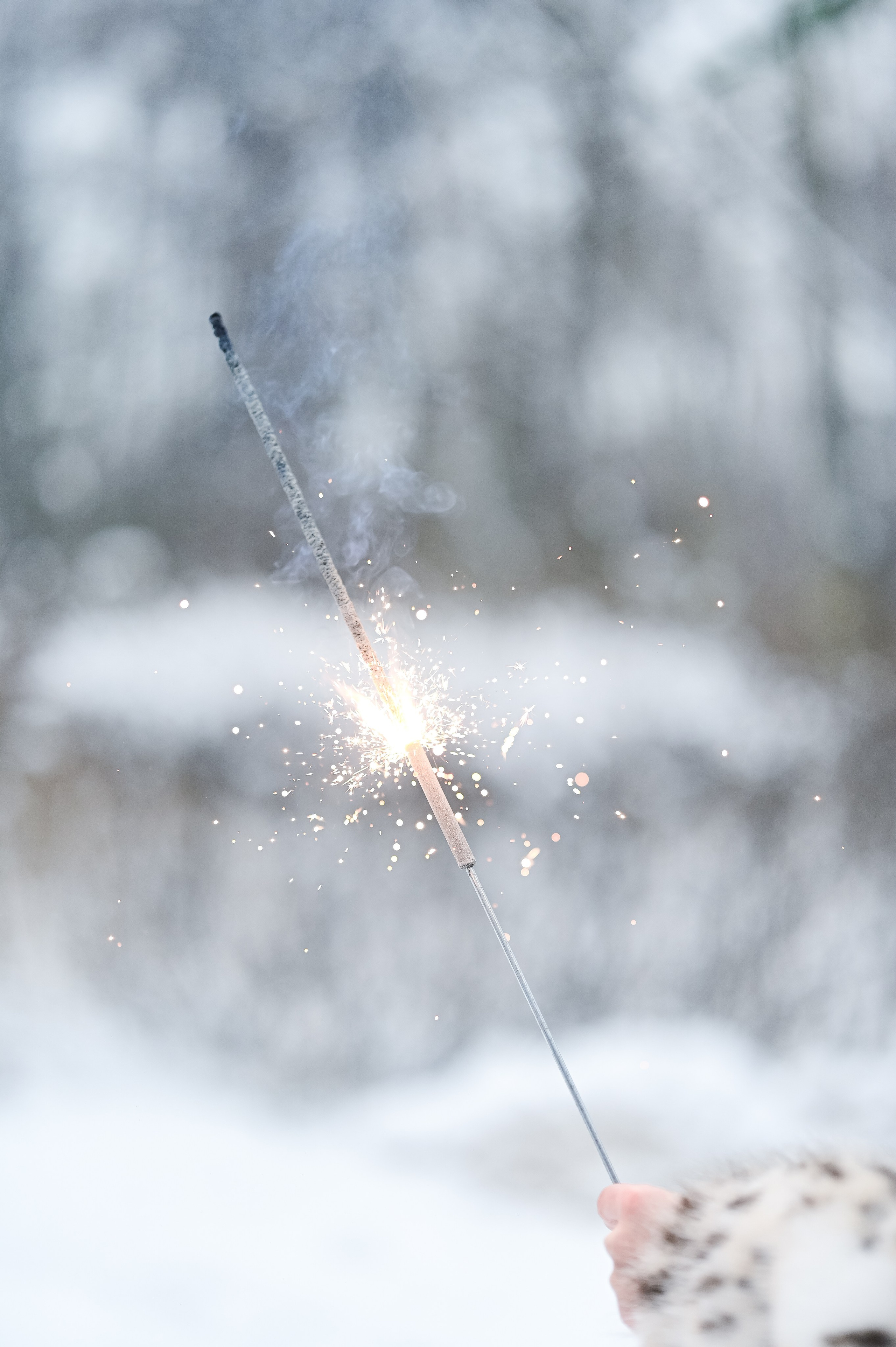 Новогодний S95 Кузьминки (01.01.25). Фотограф | Ирина Гамзинова | Москва