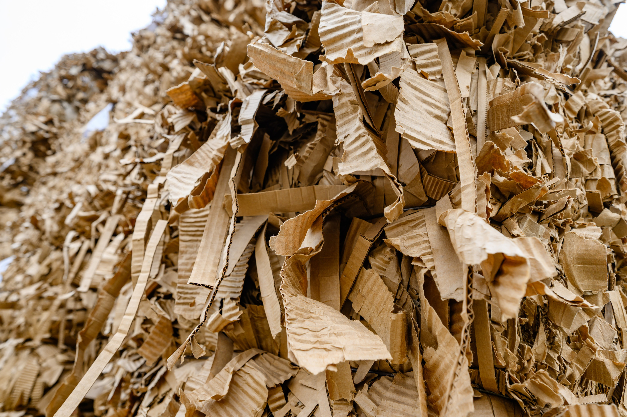 Проекты. Профессиональный фотограф Вячеслав Плацында | Липецк |