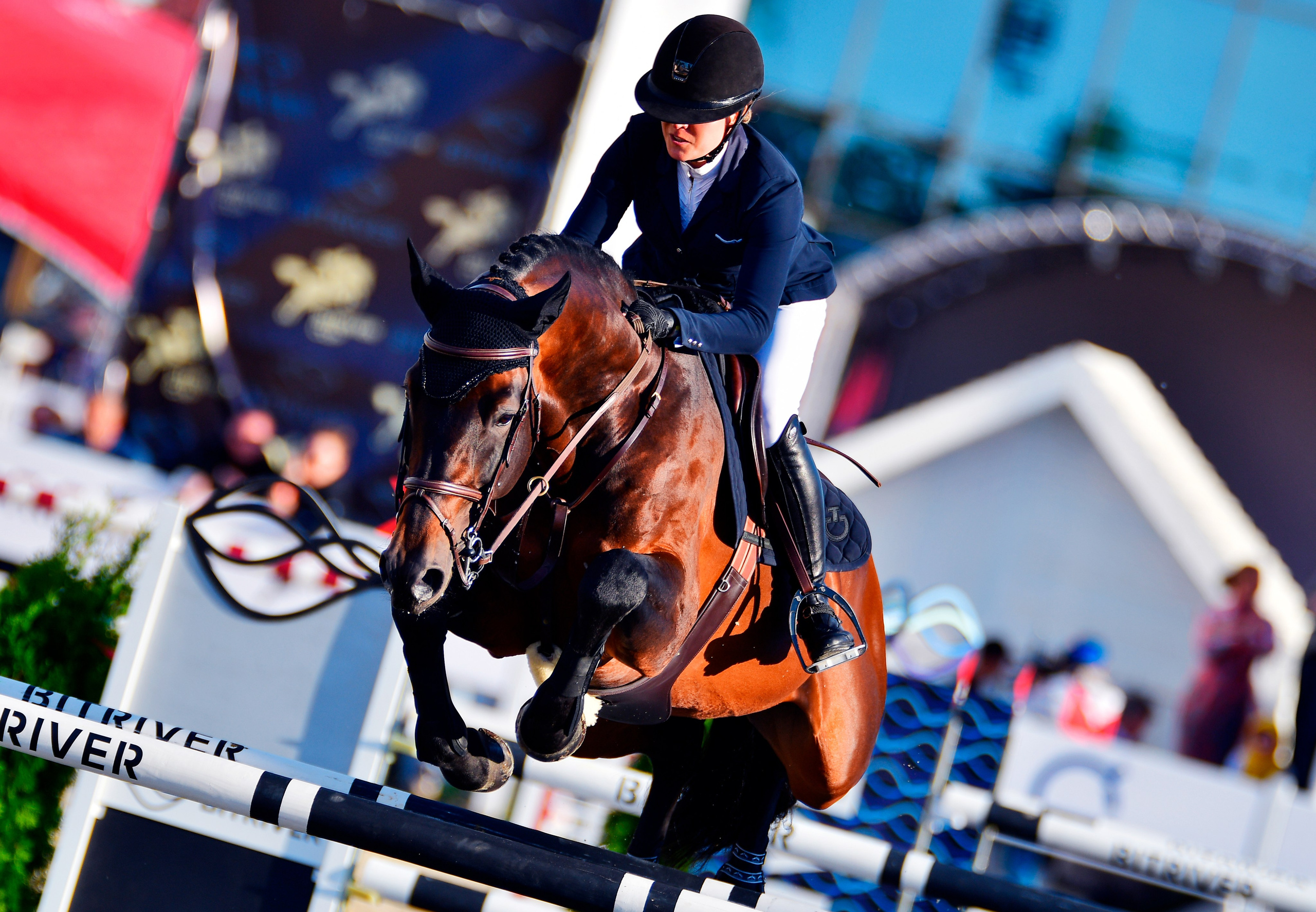 Репортаж Bitriver. Конный фотограф Alesya Safe