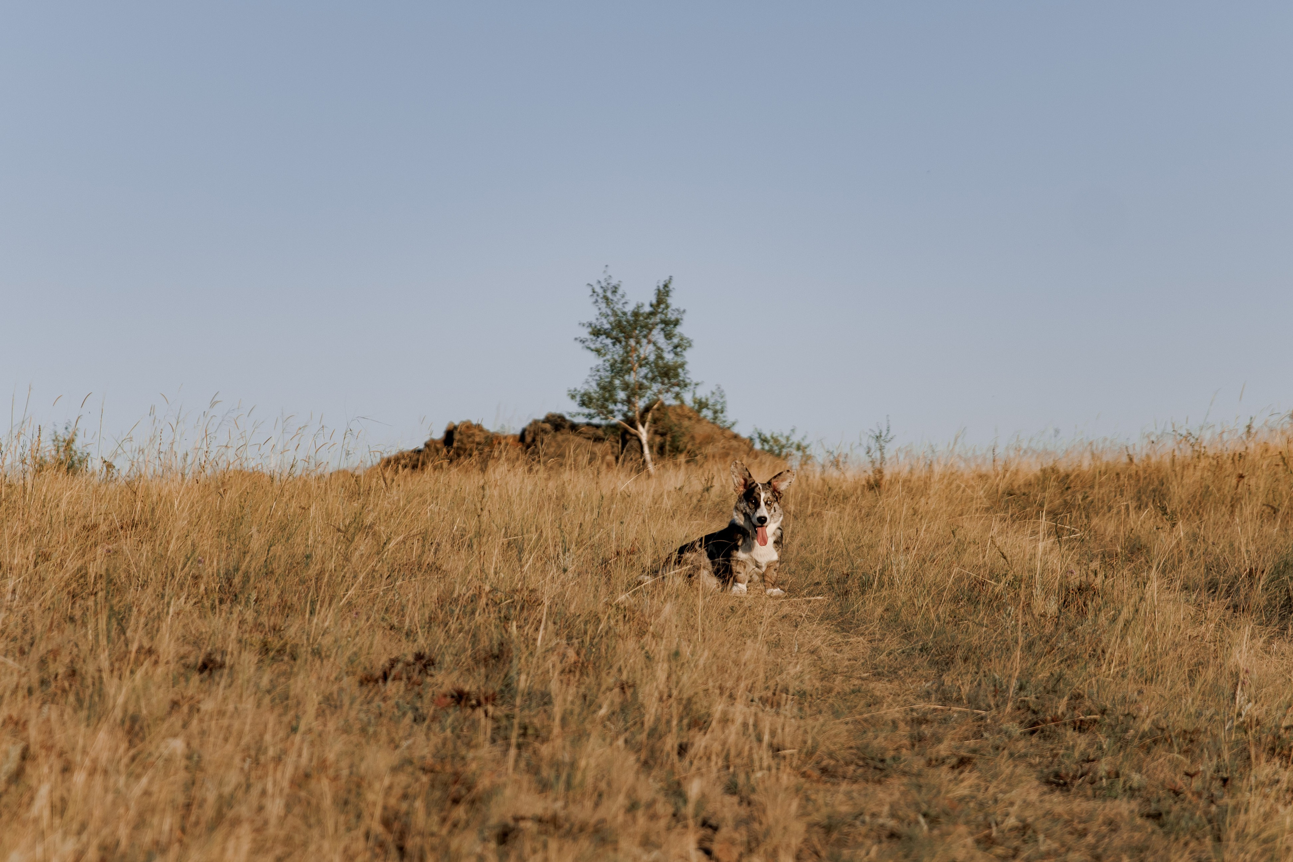 За городом. Свадебный и семейный фотограф в Екатеринбурге Катя Буряк