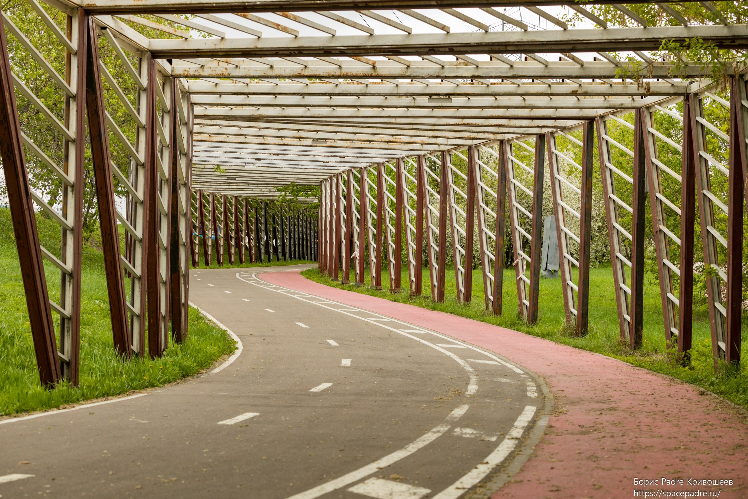 Гонка ГТО 260 425. Репортажный фотограф Борис Padre Кривошеев