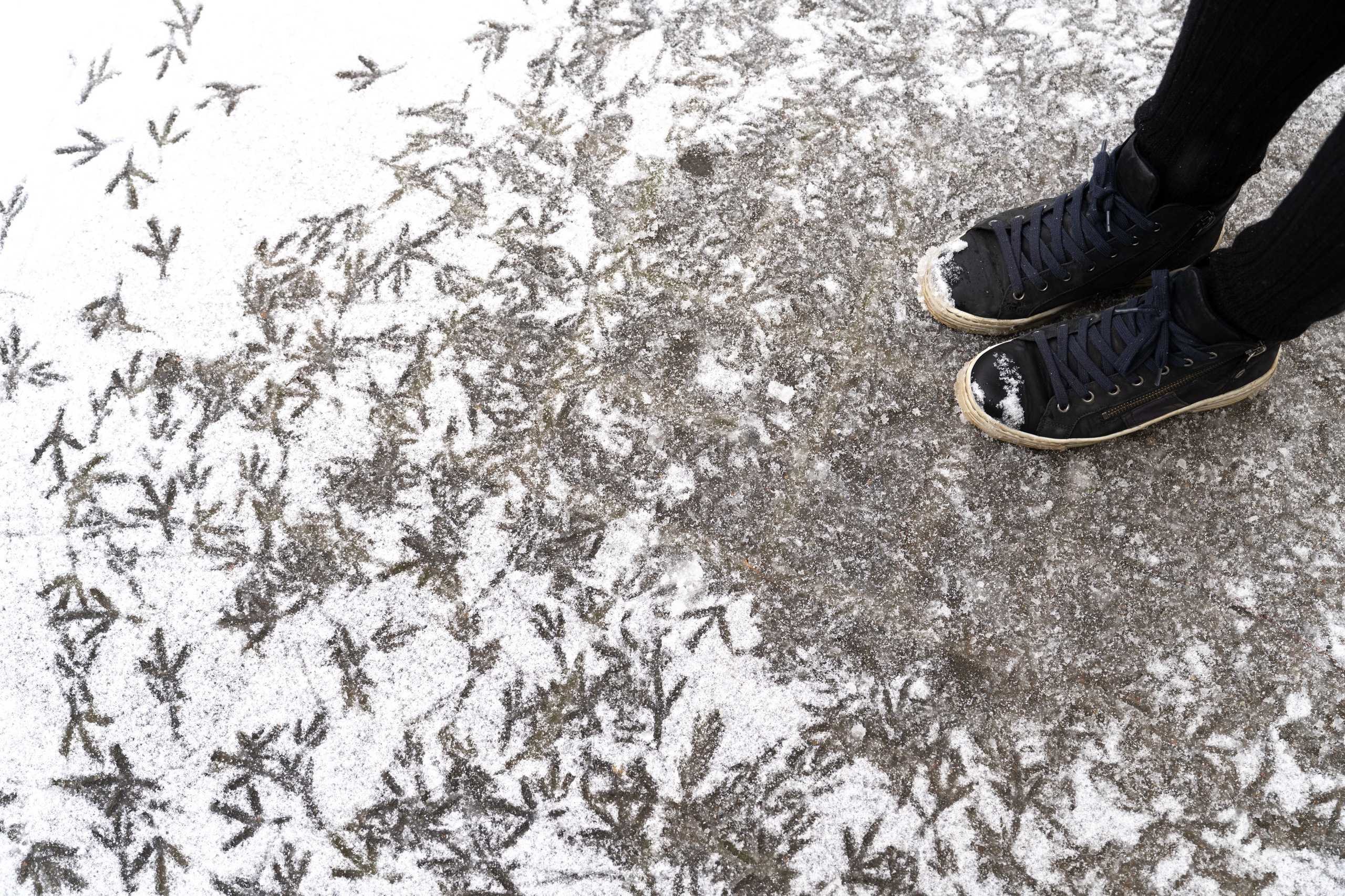 Таруса. ПОБУДЬ ЗДЕСЬ И ЦЕЛЕЕ БУДЕТ ЭТОТ МИР