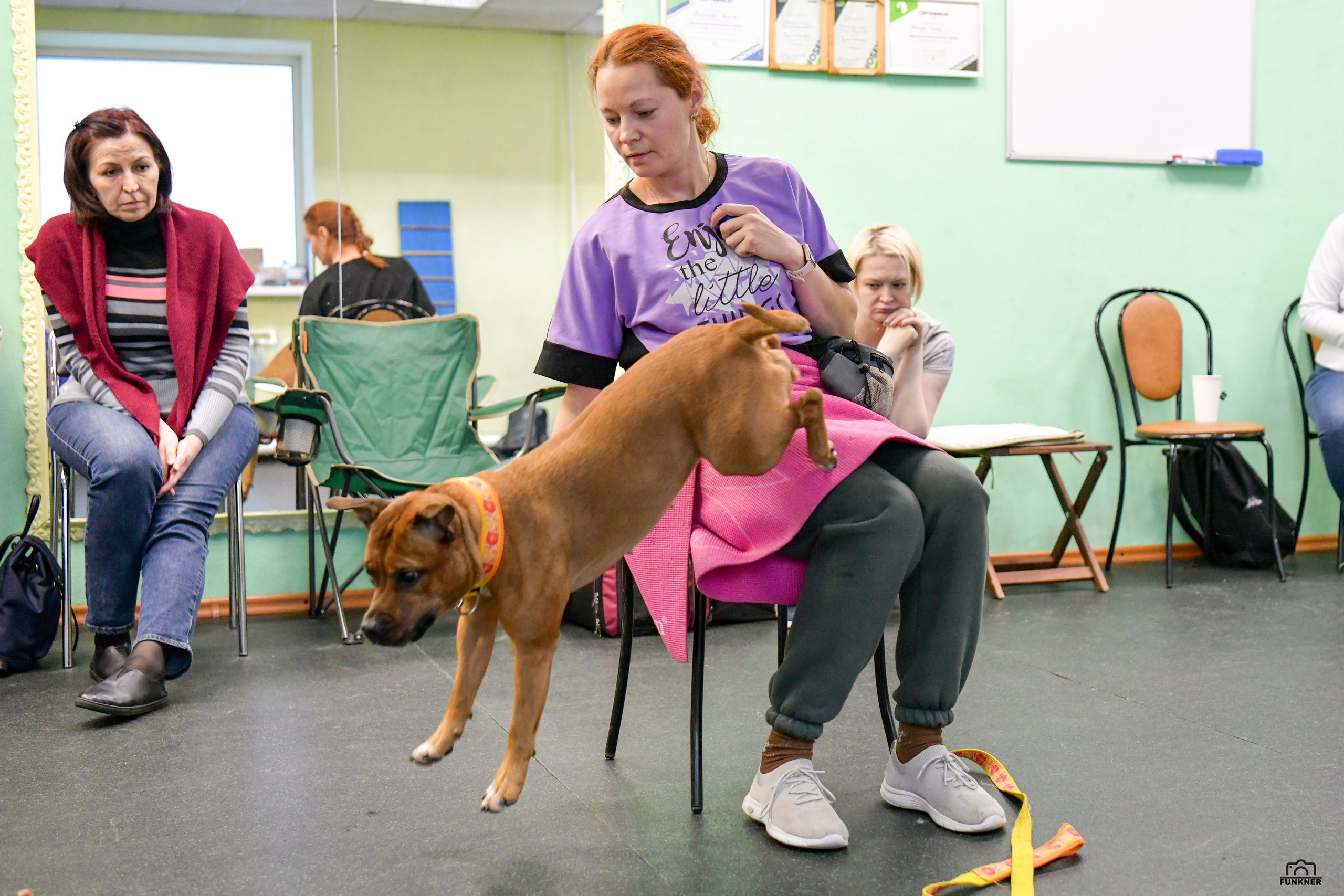 Кинологический клуб «Бодрый хвост». Свой взгляд через объектив