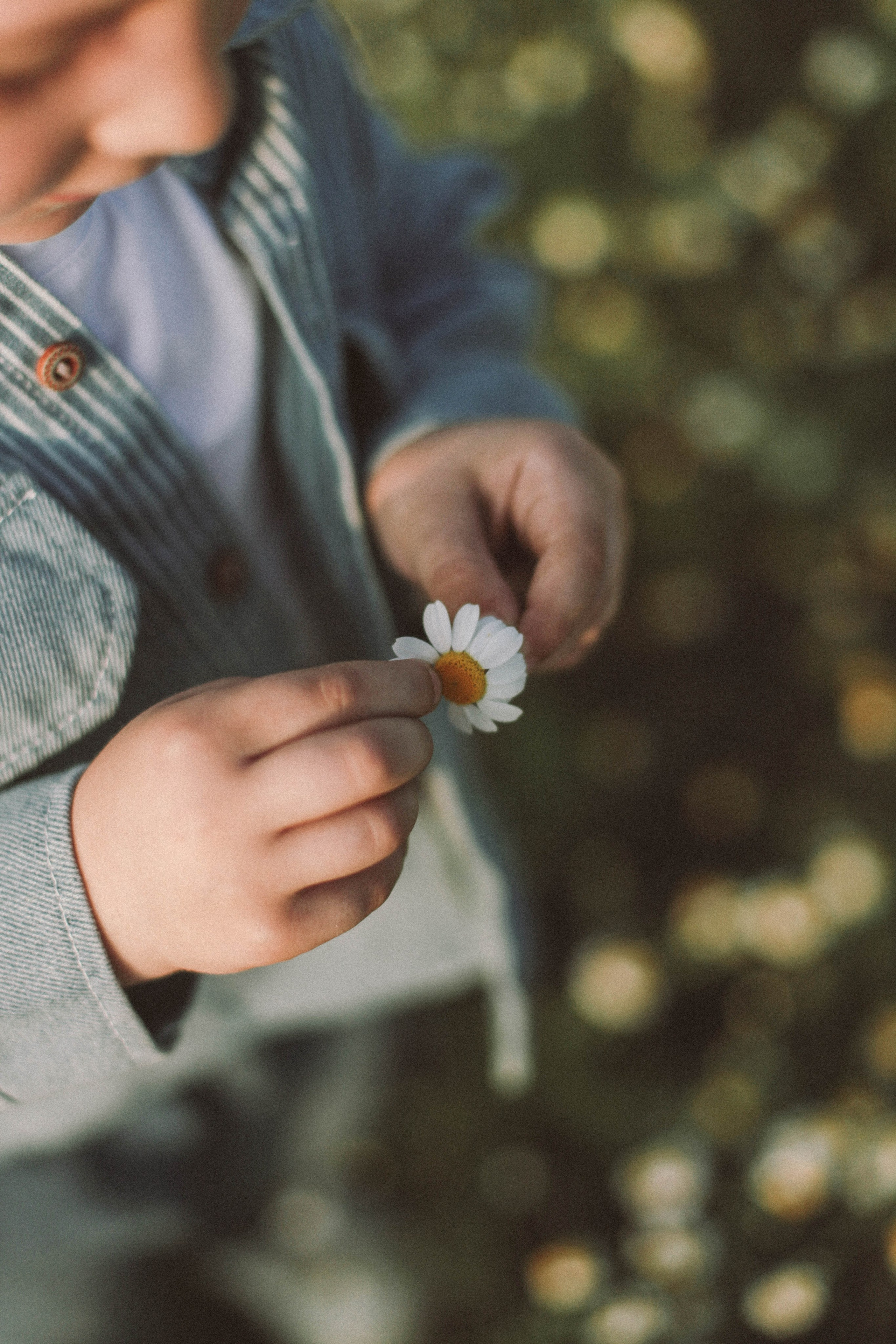 Семейные съемки