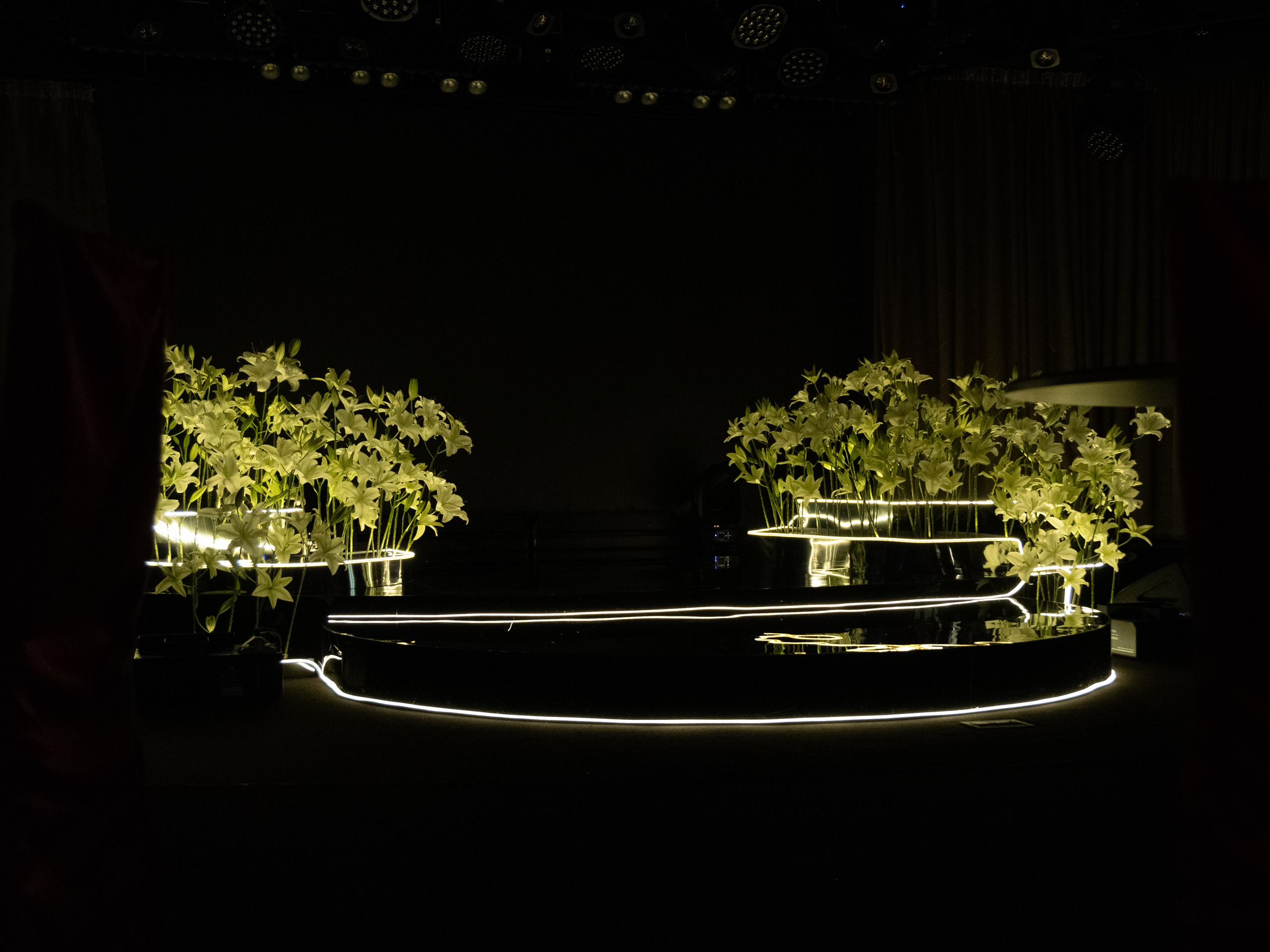 20.05 Алексей и Рада. Свадебный организатор Екатеринбург