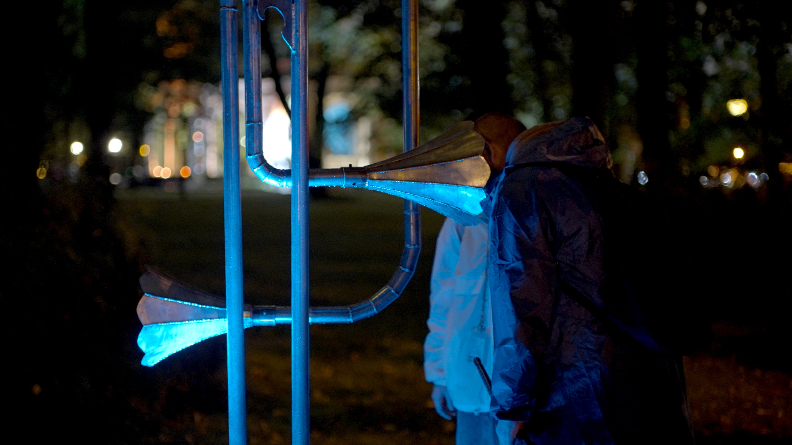 Обратная сторона дворца. Aleksandra Mikhailova multimedia artist