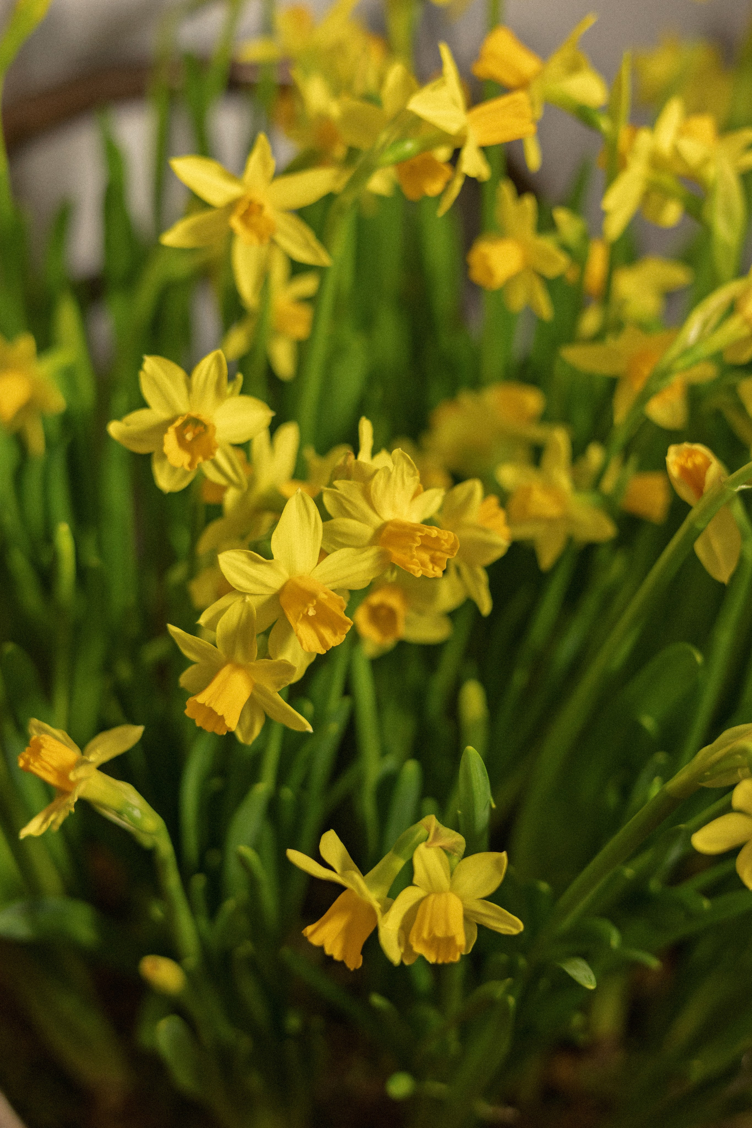 Дмитрий и Мария совместные сборы. Свадебный, репортажный, фотограф Москва и Московская область
