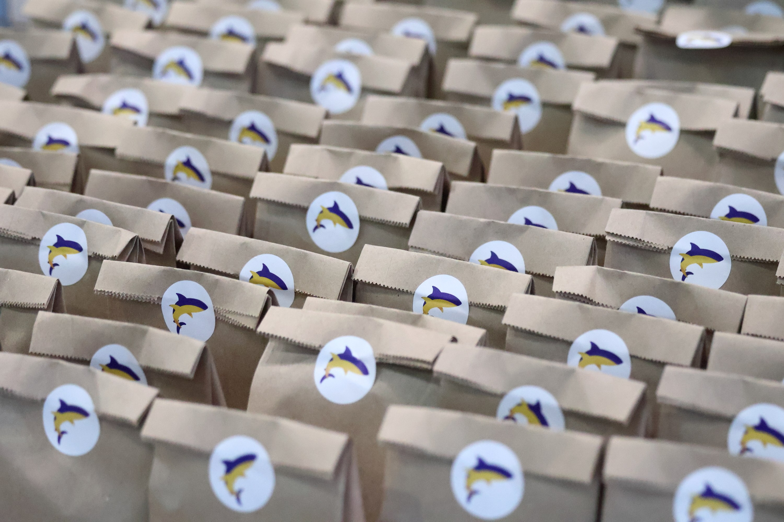 RS CUP III Этап. Спортивный и репортажный фотограф Ермакова Светлана