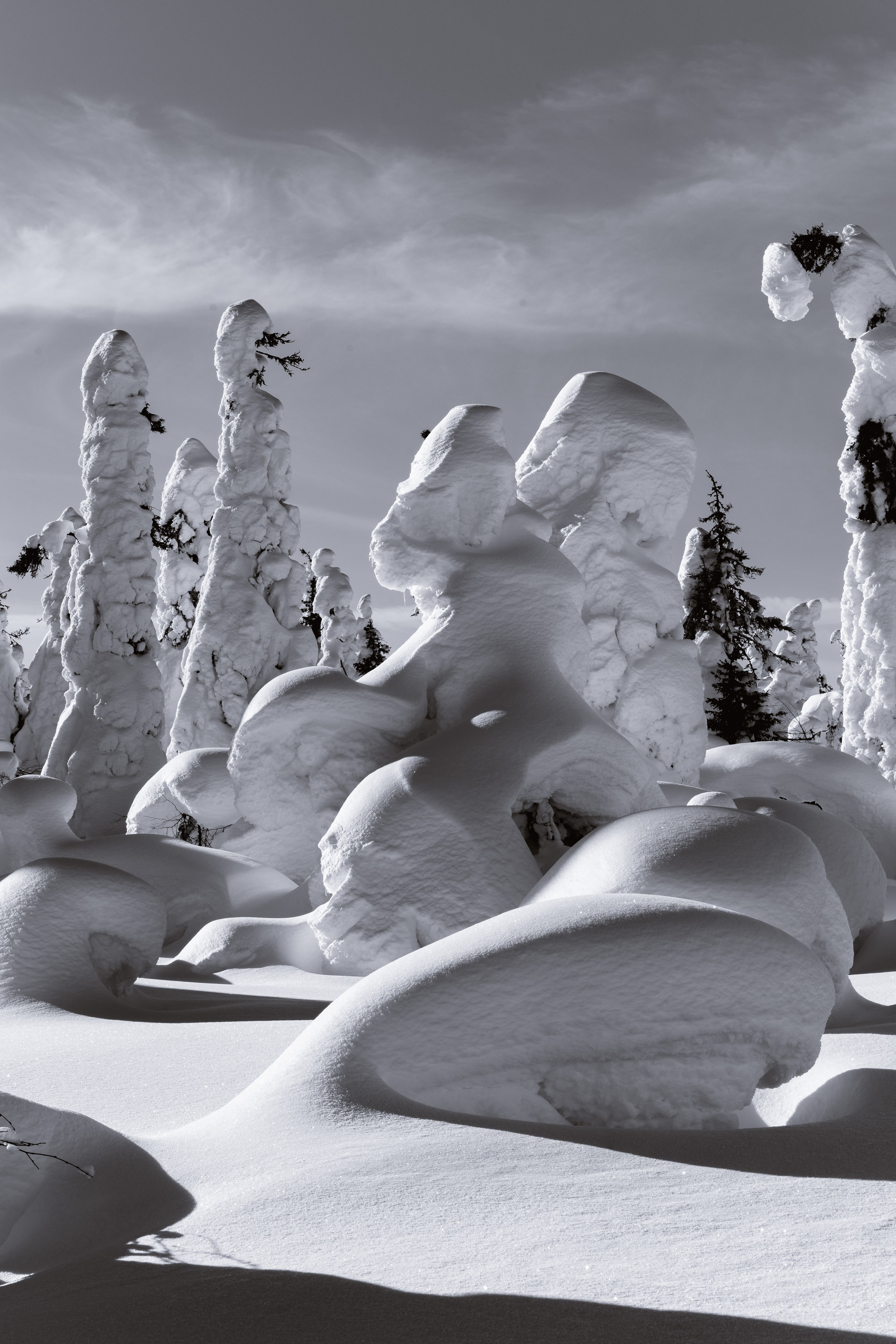 Зима. Северные Ночи