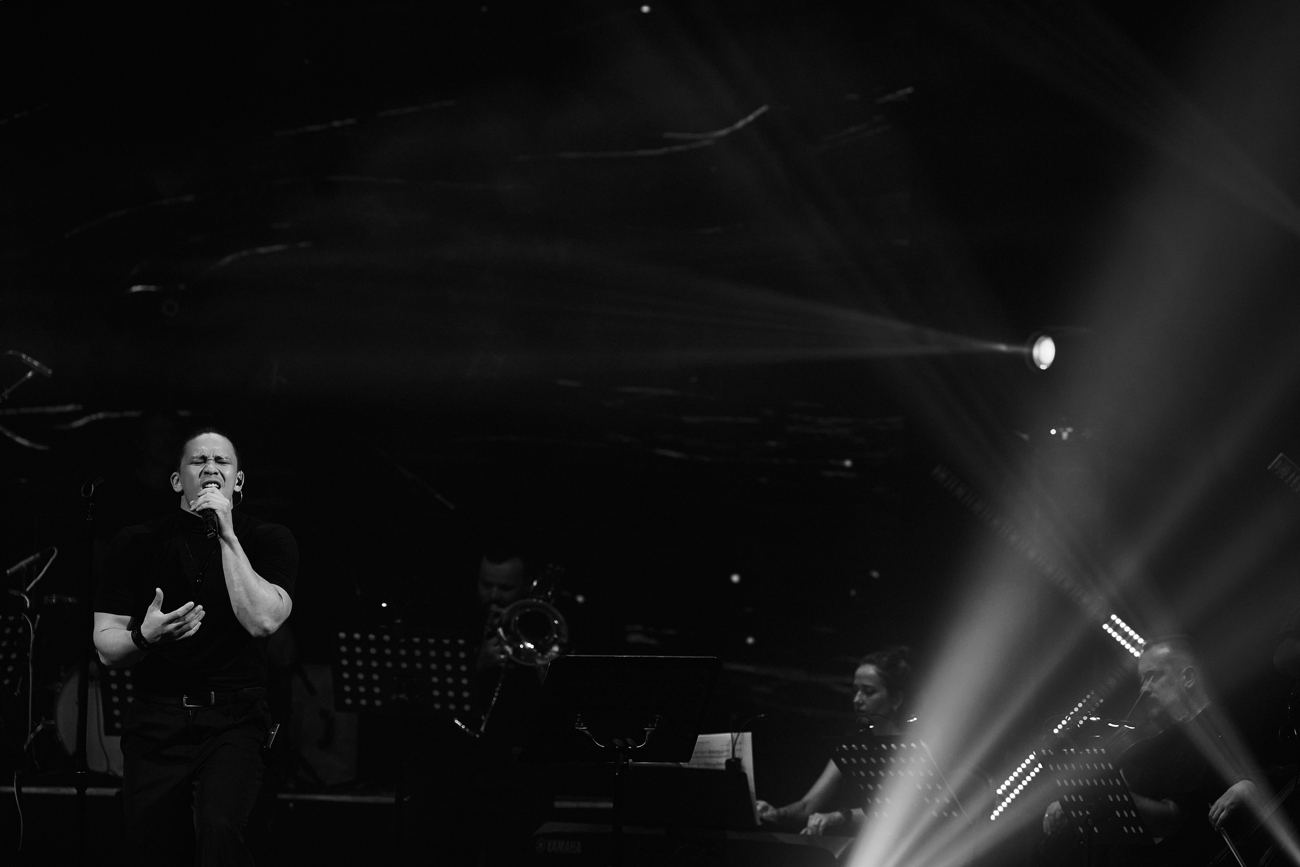 Symphonic Rock в ДКЖД 28.08. Свадебный репортажный фотограф краснодар максим дремов дрёмов фотосессия студия цена