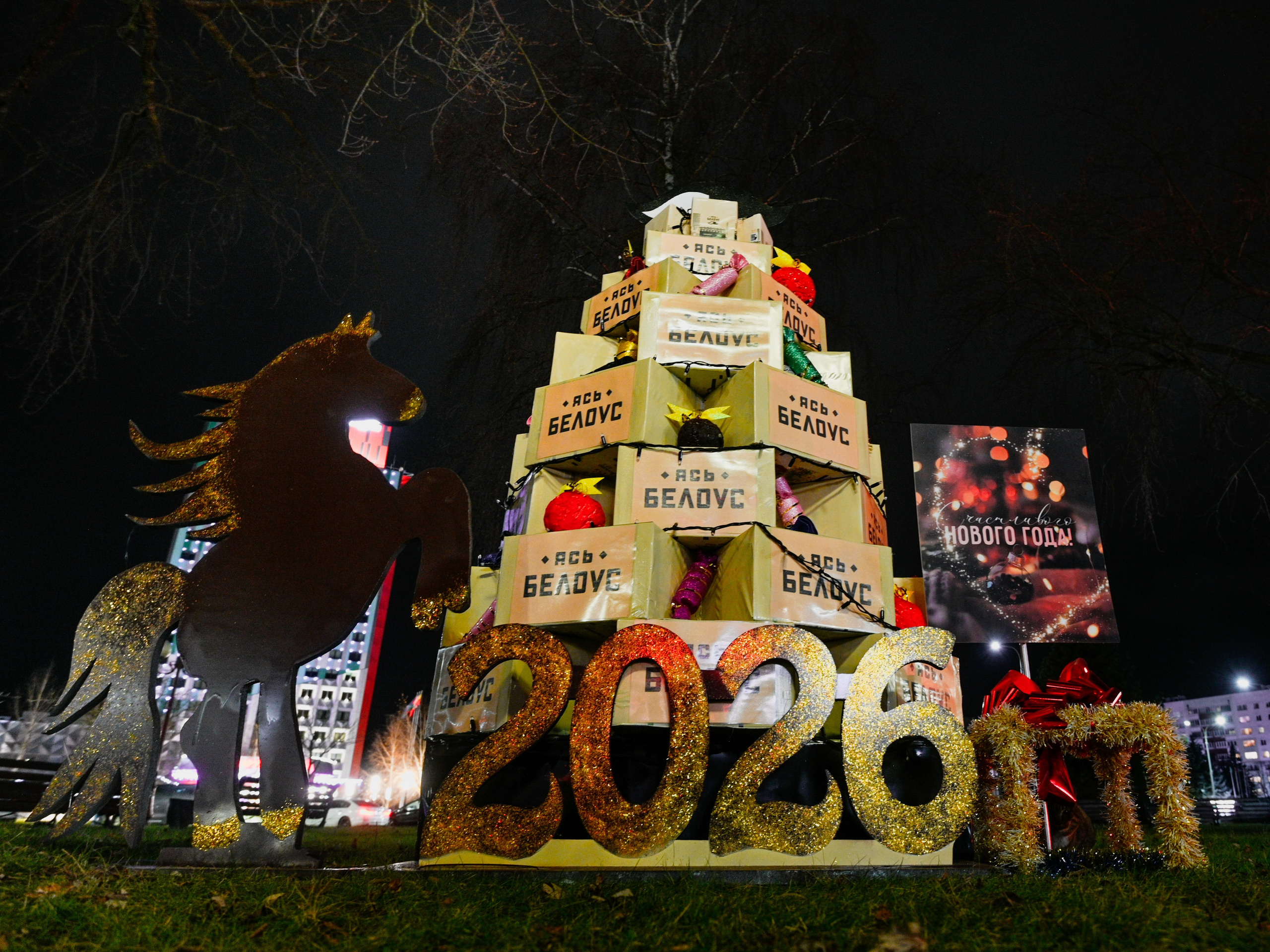 Новогодние украшения 2026. Фотограф Олег Юршевич Солигорск Минск