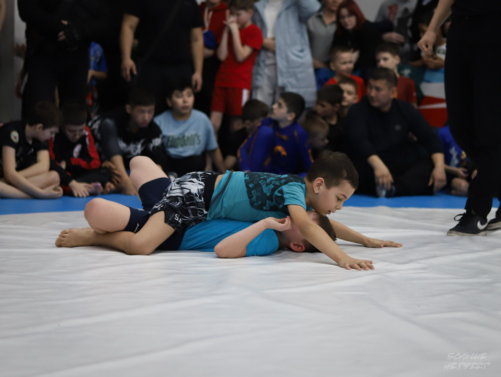 GORILLA PRIDE CUP. Больше не греет