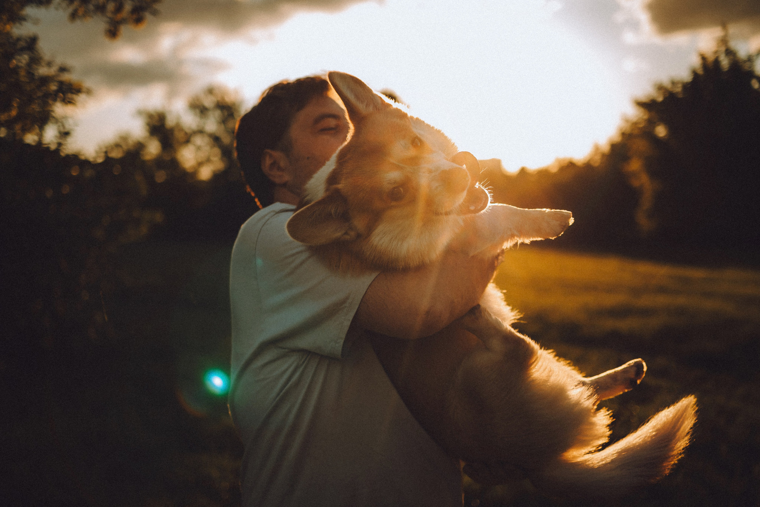 Вирджик и его семья