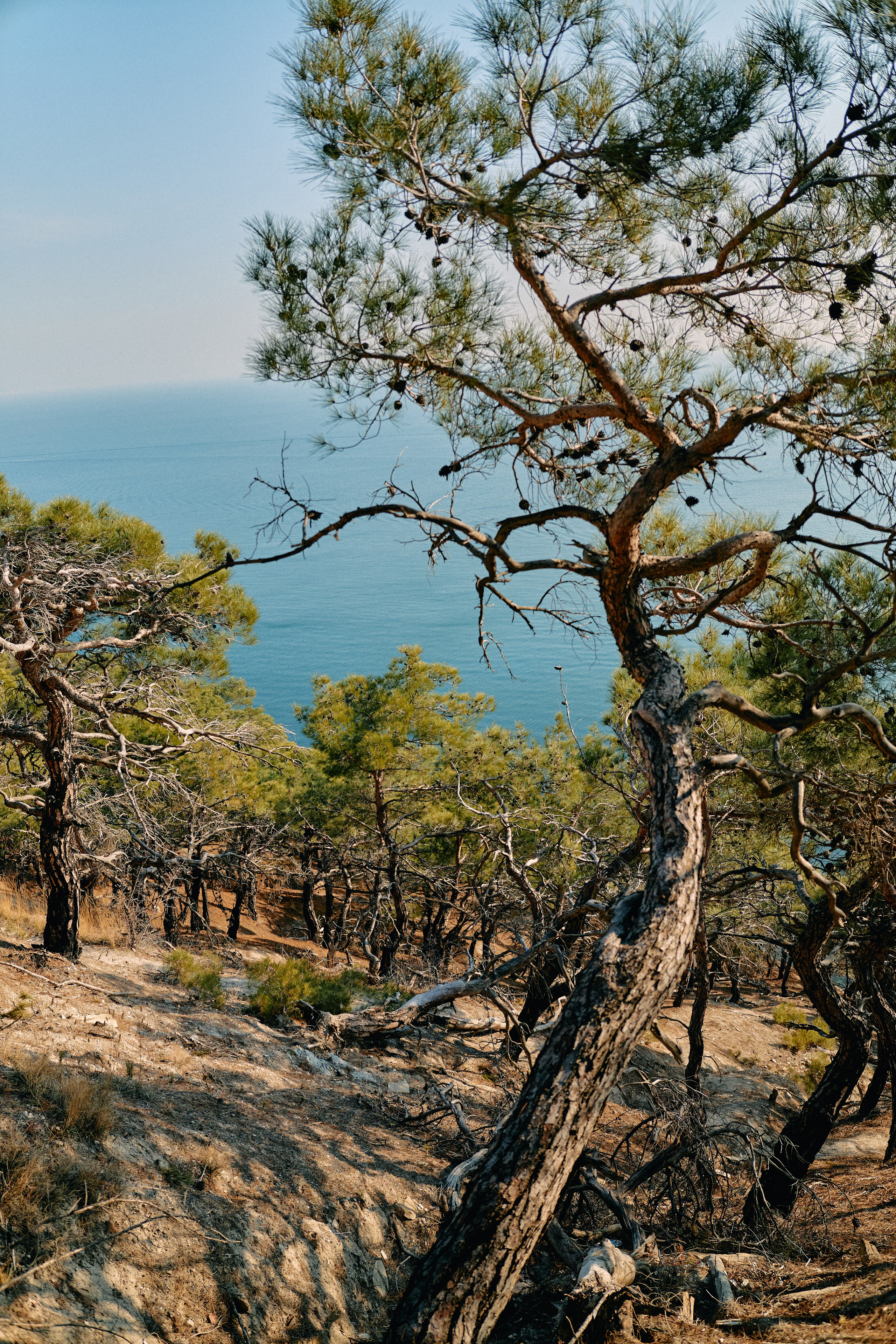 Юг России. Профессиональный Фотограф во Владимире, в Москве и в Суздале — Полина Романычева