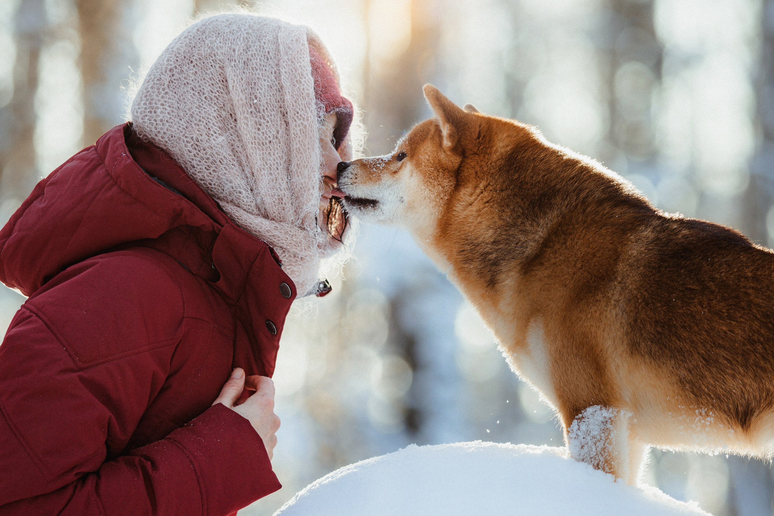 Шед, Цири и Ира