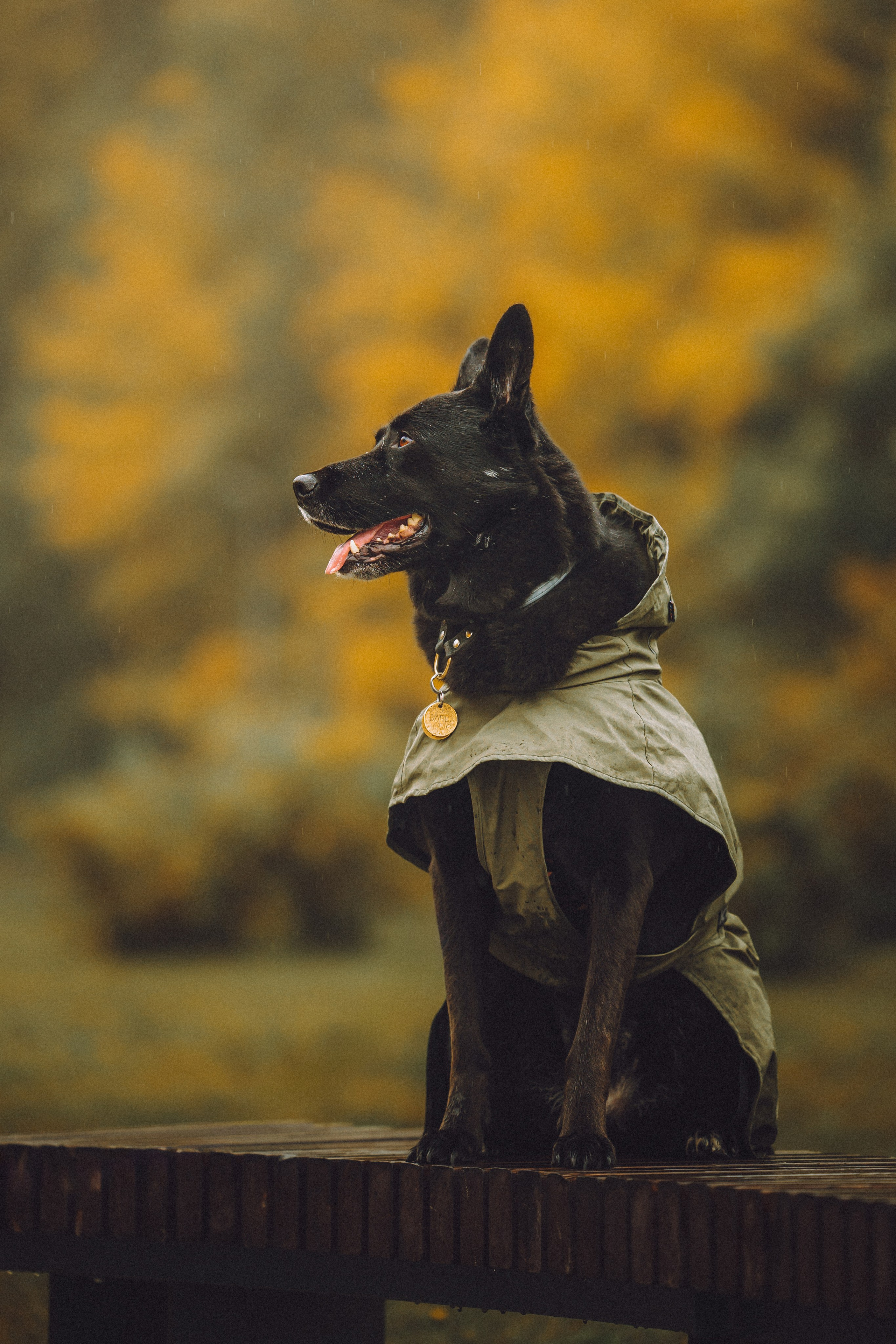 Рита и Буба