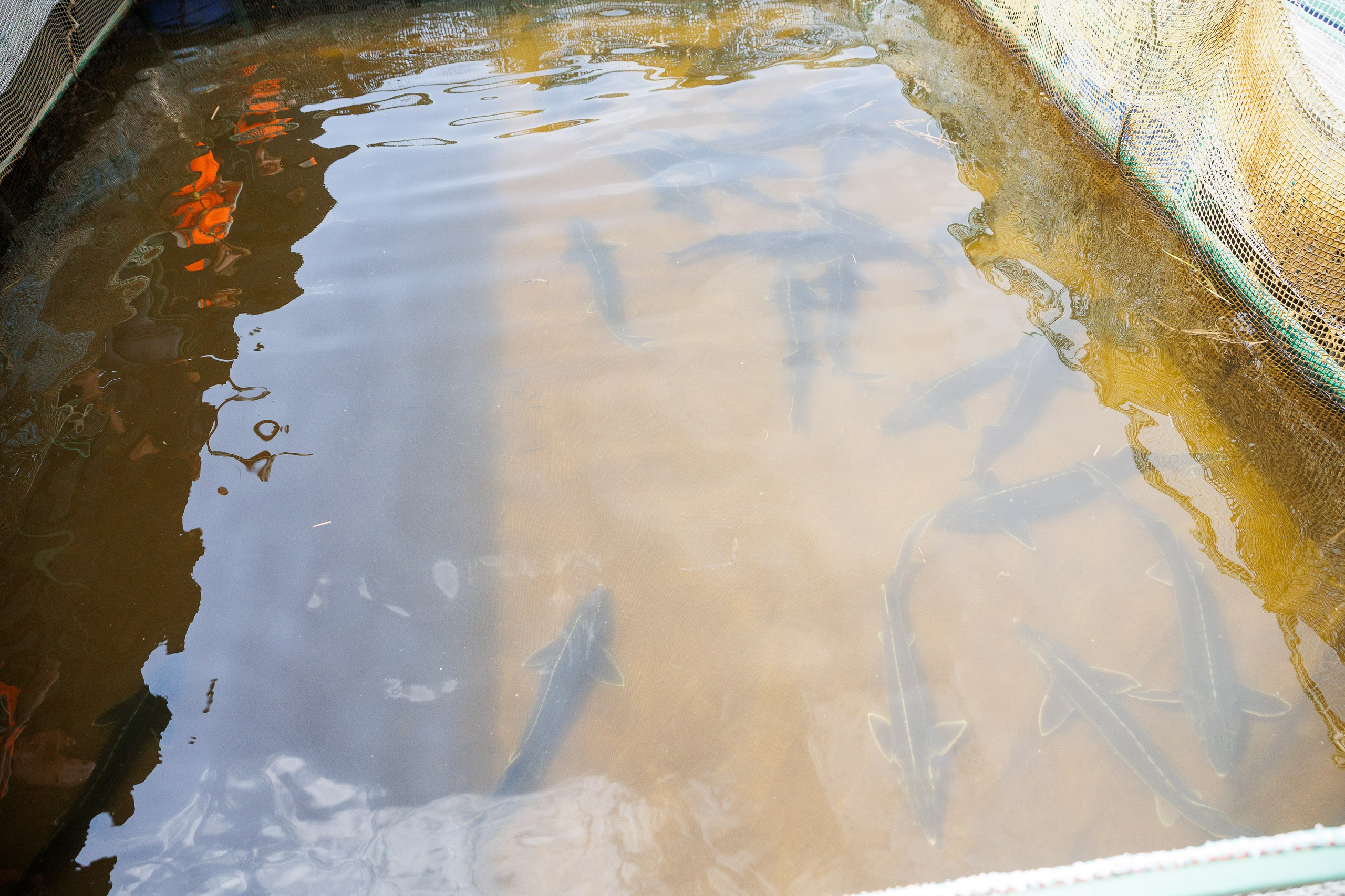 День 2. Конференция. Экскурсия на предприятия + галаужин. Фотограф Шейдаев Эмин г. Волгоград