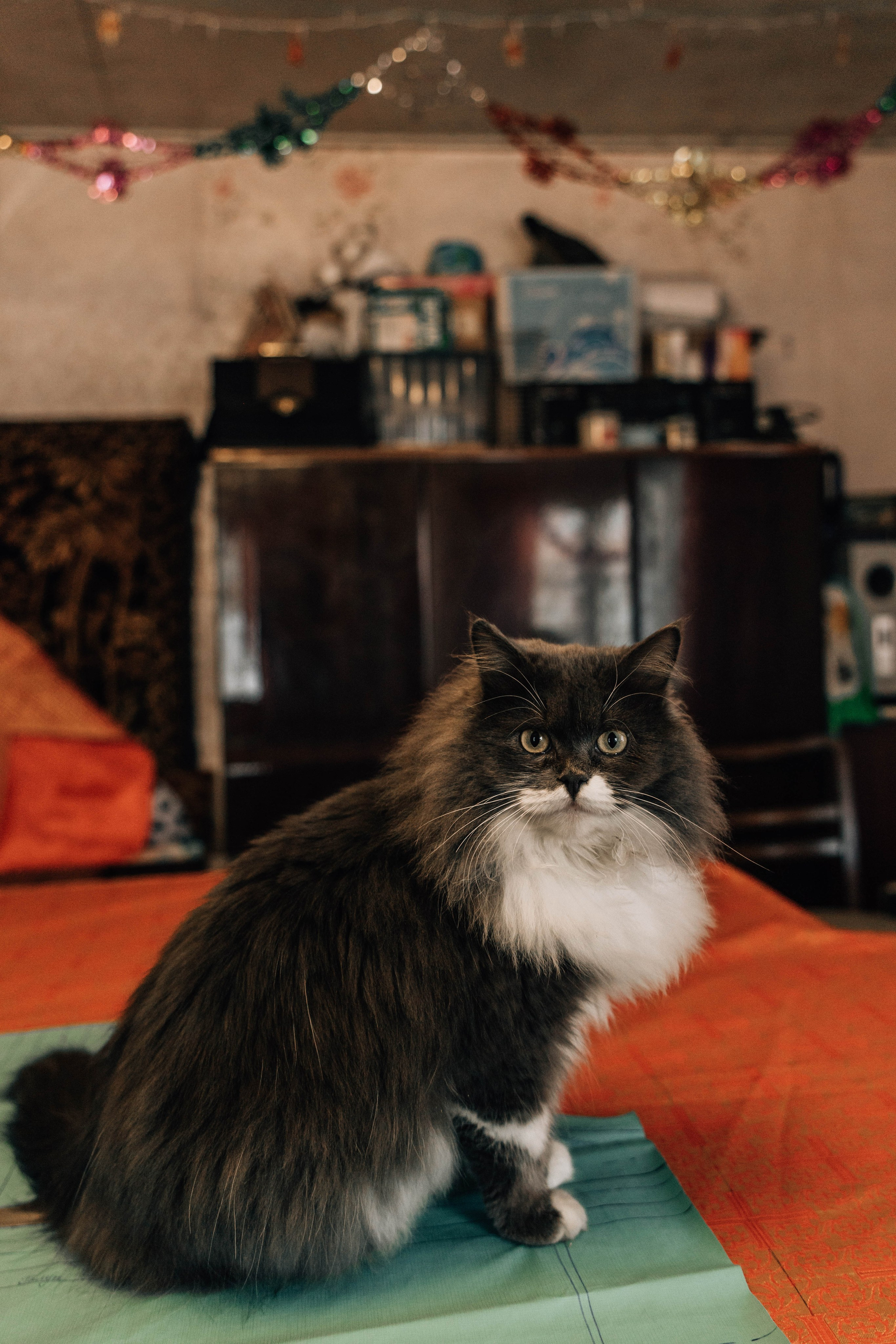 Александра: пошив церковных облачений. Фотограф Серебряные Пруды — Екатерина Рыкина | Детские и семейные фотосъемки, бытовой жанр