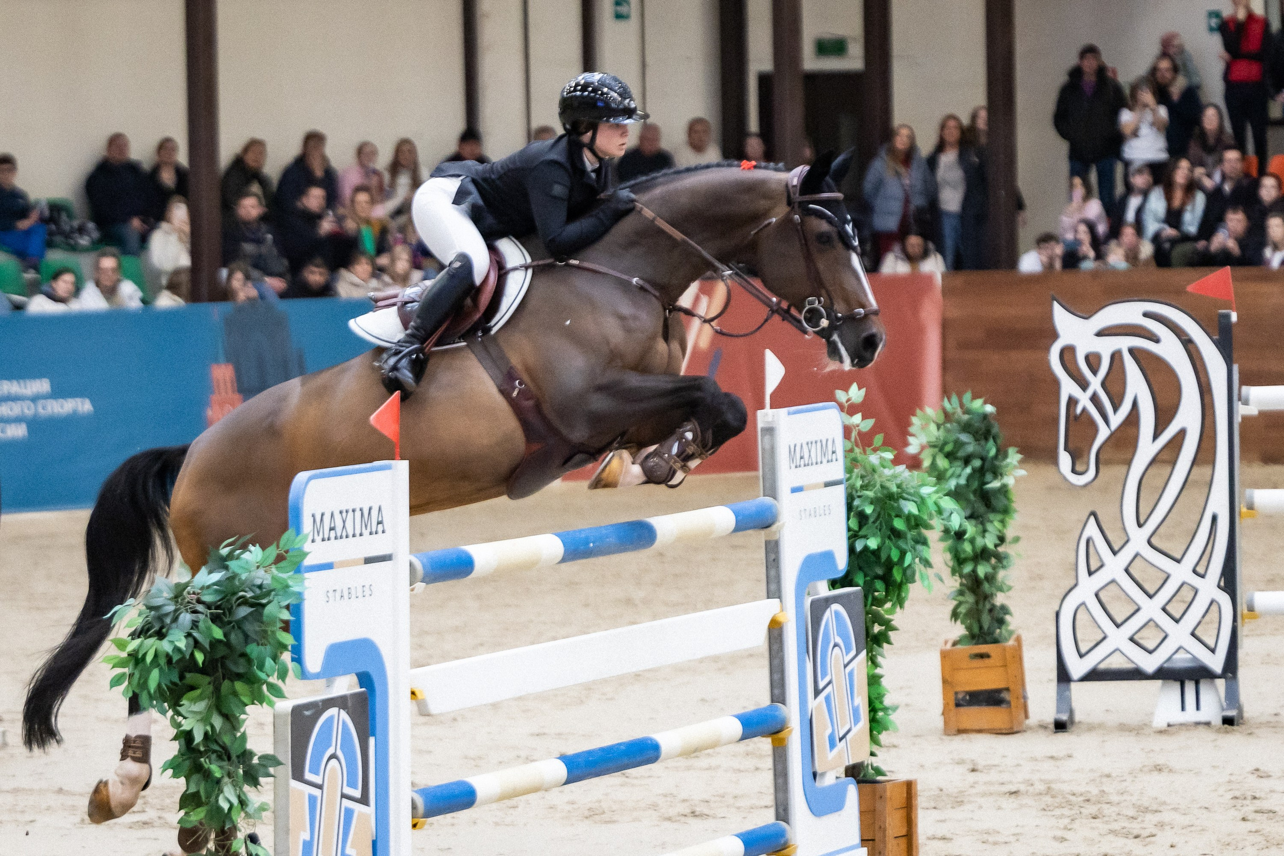 Кубок Кремля по Конкуру 12.04.25. Фотограф Владимир Охрименко