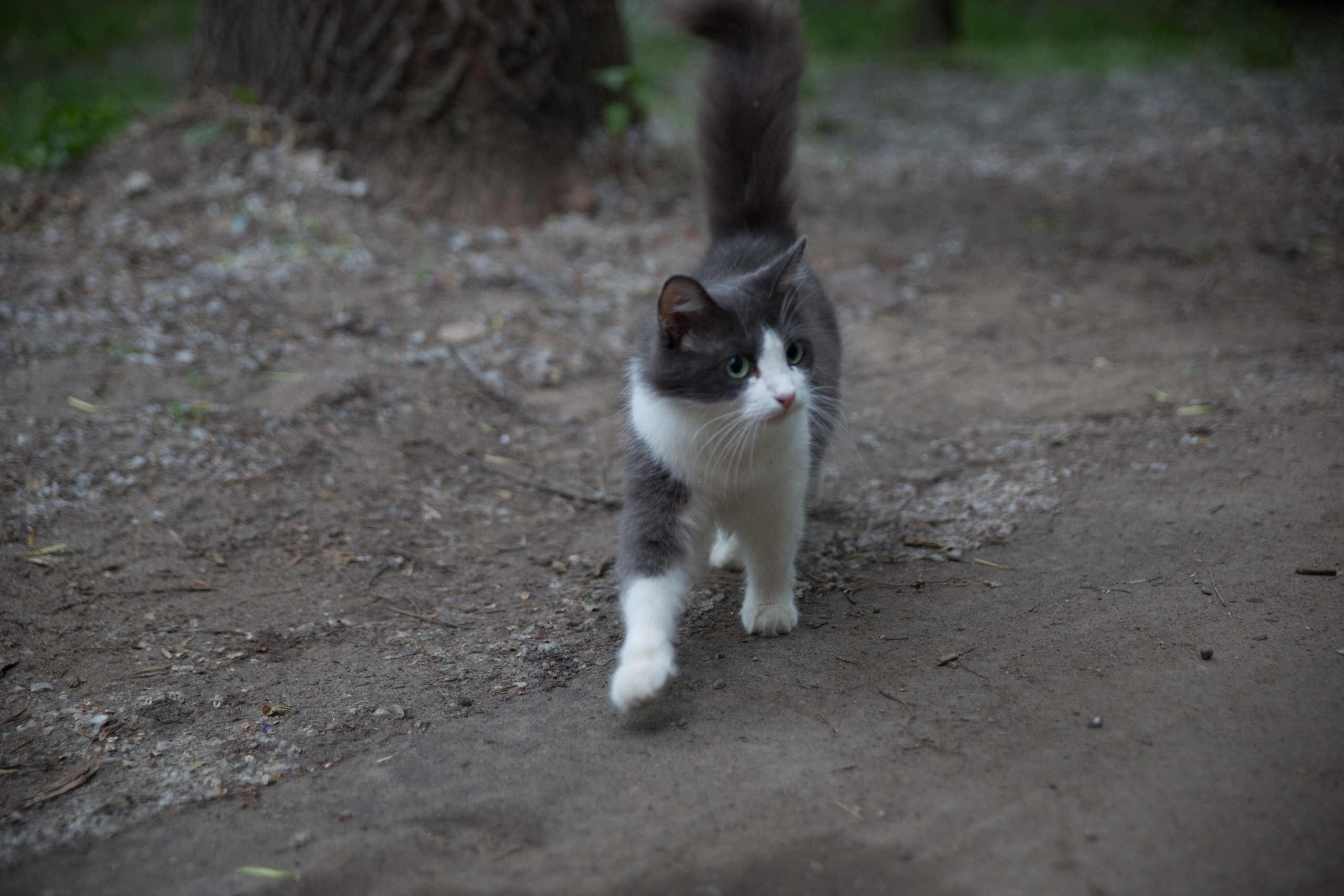 Г. Ярославль. Студия Максима Белослюдцева